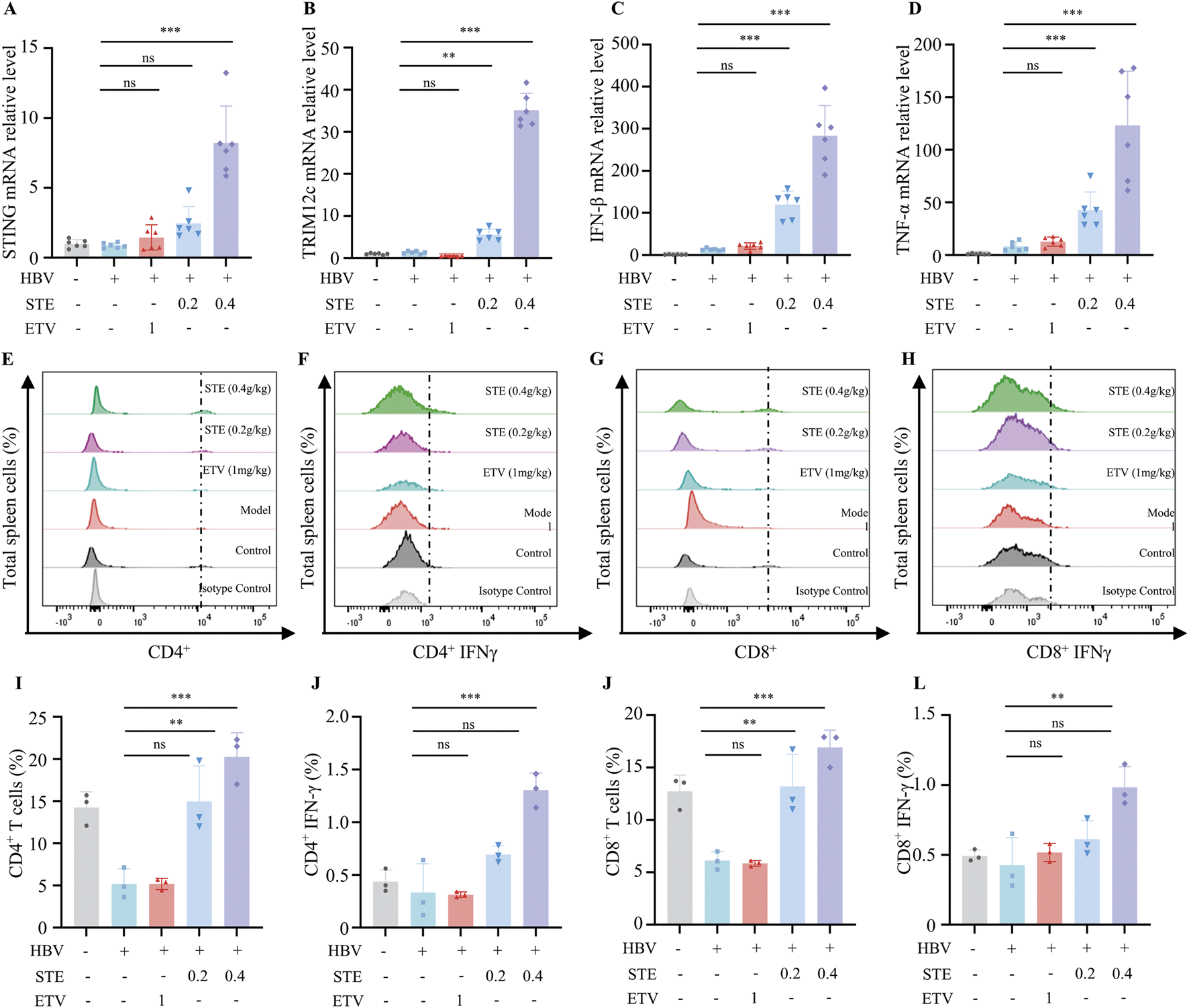 Graphical data displaying the effects of STE and ETV on mRNA and immune cell levels in HBV mice. Panels A-D show bar graphs of relative mRNA levels: STING, TRIM2, IFN-β, and TNF-α, with statistical significance indicated. Panels E-H present flow cytometry plots for CD4⁺, CD4⁺ IFNγ, CD8⁺, and CD8⁺ IFNγ spleen cells. Panels I-L show bar graphs comparing CD4⁺ T cells, CD4⁺ IFN-γ, CD8⁺ T cells, and CD8⁺ IFN-γ levels. Statistical annotations highlight significance among different treatments.