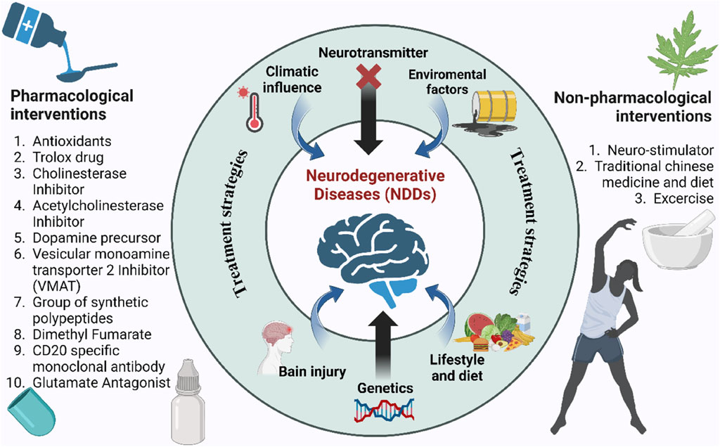 Diagram illustrating treatment strategies for neurodegenerative diseases (NDDs), outlining pharmacological interventions like antioxidants and dopamine precursors, and non-pharmacological options such as exercise and traditional medicine. Factors like neurotransmitter imbalances, genetics, lifestyle, environmental factors, and climatic influences are labeled. Central brain icon represents NDDs.