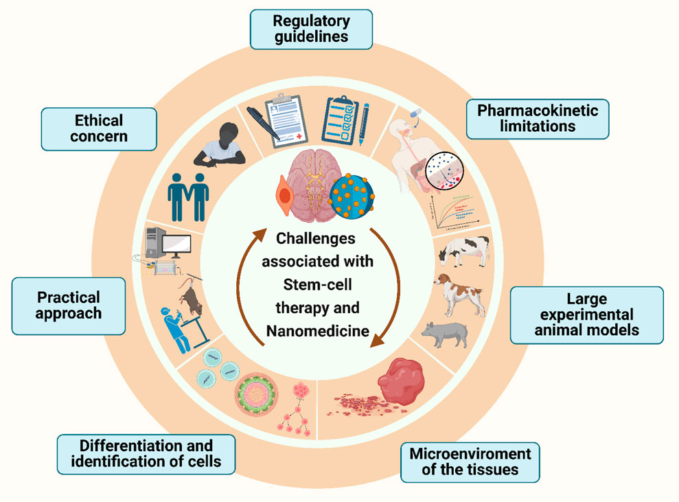 Diagram illustrating challenges associated with stem-cell therapy and nanomedicine. Central text highlights these challenges, surrounded by icons representing regulatory guidelines, pharmacokinetic limitations, large experimental animal models, tissue microenvironment, cell differentiation and identification, practical approach, and ethical concerns. Various images depict related concepts like paperwork, animals, organs, cells, and medical professionals.
