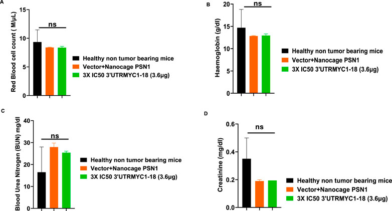 Grouped bar charts (A-D) display health metrics for three groups: healthy non-tumor-bearing mice (black), Vector+Nanocage PSN1 (orange), and 3X IC50 3’UTRMYC1-18 (3.6µg) (green). Measurements include red blood cell count, hemoglobin, blood urea nitrogen, and creatinine levels. All charts show