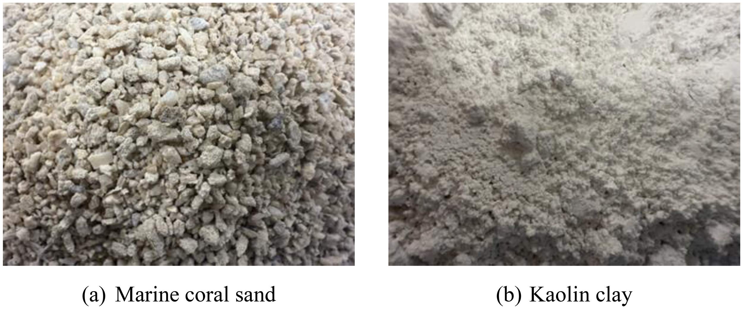 Close-up image showing two different materials. (a) Marine coral sand, resembling coarse granules with a rough texture. (b) Kaolin clay, appearing as a fine, smooth powder with a soft texture.