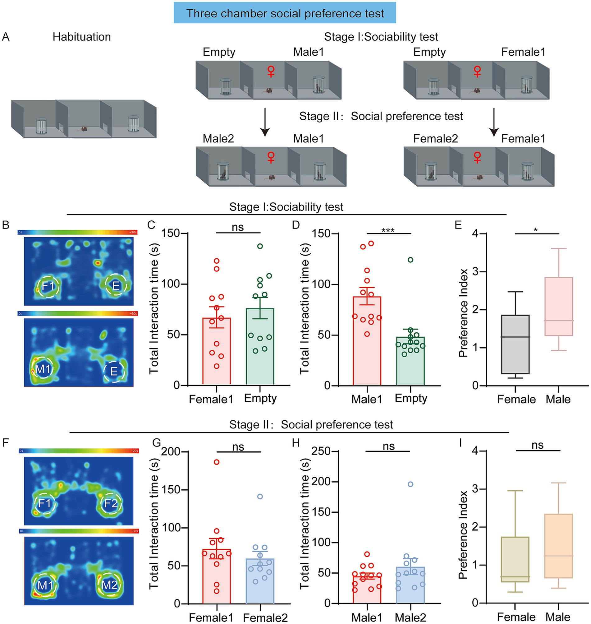Diagram of a three-chamber social preference test with mice. Panel A illustrates the habituation, sociability, and social preference test stages. Panels B and F depict heat maps of mice interactions. Panels C and G-H show graphs of interaction times, with significant differences indicated. Panel E and I display box plots for preference indices, comparing male and female mice preferences with significant and non-significant results.