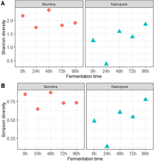 Two panels showing diversity indices over fermentation time using Illumina and Nanopore sequencing. Panel A shows Shannon diversity, and Panel B shows Simpson diversity, both measured at 0, 24, 48, 72, and 96 hours. Red diamonds represent Illumina and blue triangles represent Nanopore data. The graphs indicate diversity changes over time for each sequencing method.