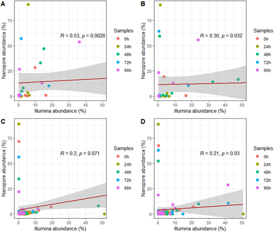 Four scatter plots titled A, B, C, and D compare Nanopore and Illumina abundance percentages. Each plot shows points for samples at different times: 0, 24, 48, 72, and 96 hours. Correlation coefficients (R) and p-values are provided: A (R = 0.53, p = 0.0026), B (R = 0.36, p = 0.032), C (R = 0.2, p = 0.071), D (R = 0.21, p = 0.03). A gray shaded area represents confidence intervals, and a red trend line shows the correlation.