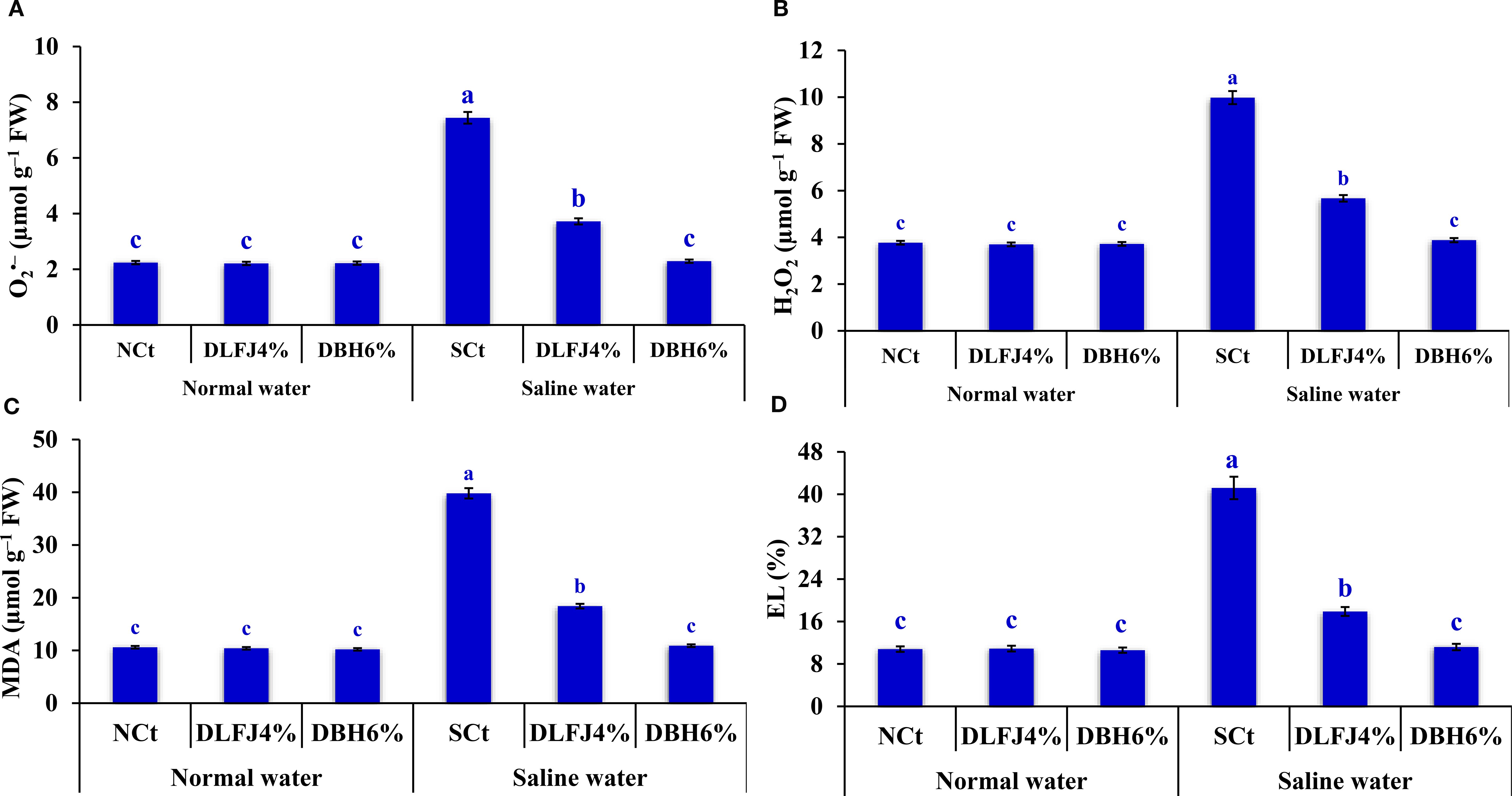 Four bar graphs labeled A to D compare the effects of different treatments under normal and saline water conditions. Graph A shows O₂⁻ levels, Graph B shows H₂O₂ levels, Graph C shows MDA levels, and Graph D shows EL percentages. Each graph displays data for NCt, DLFJ4%, and DBH6% under normal water, and SCt, DLFJ4%, and DBH6% under saline water. SCt under saline water consistently has the highest values across all graphs. Statistical significance is indicated by different letters above bars.