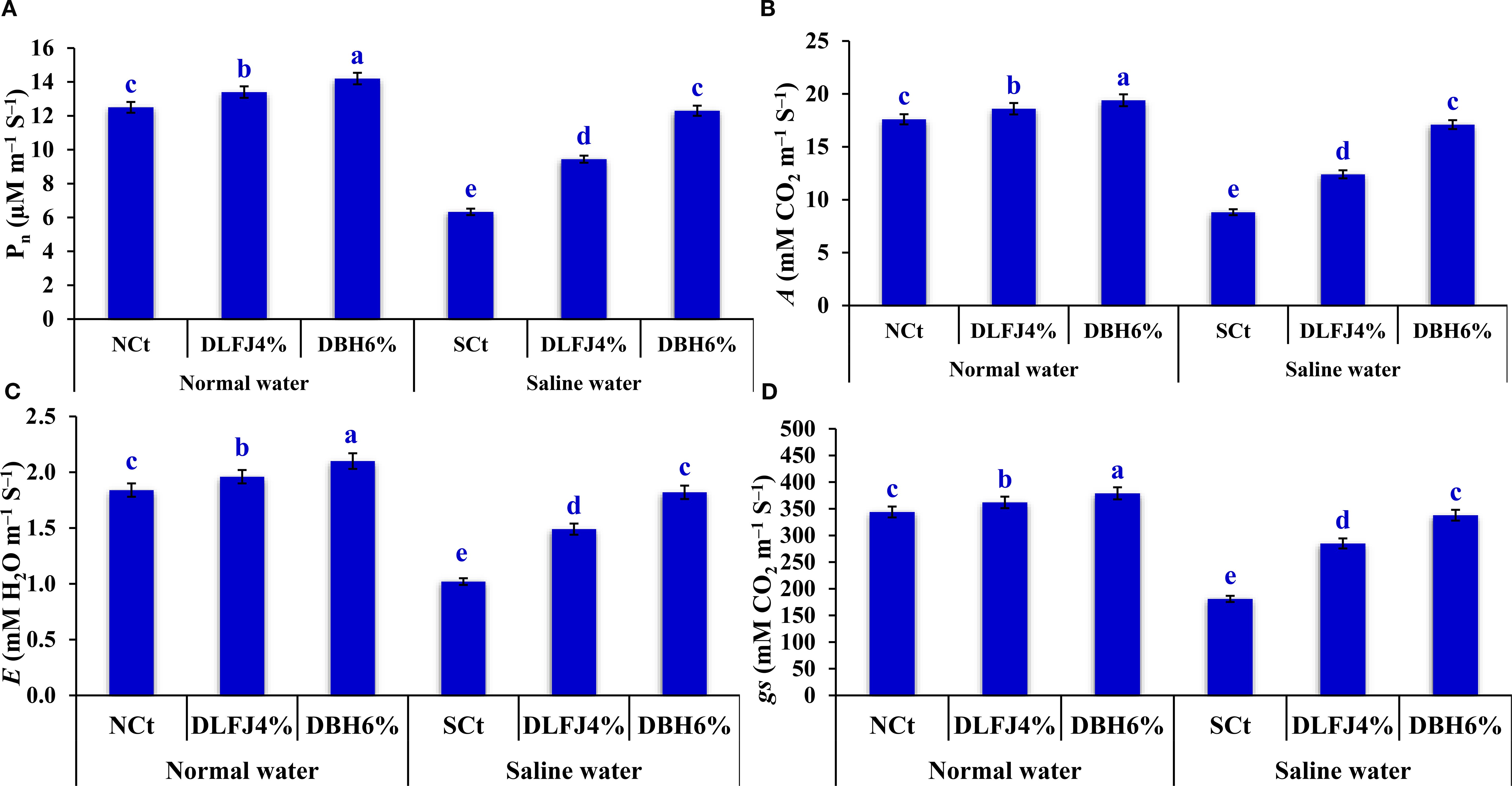 Bar charts labeled A to D display various physiological parameters under normal and saline water conditions. Chart A shows Pn values; B displays A values; C presents E values; D shows gs values. Each chart compares the treatments NCt, DLFJ4%, DBH6% under normal water and SCt, DLFJ4%, DBH6% under saline water. Letters above bars indicate statistical differences.