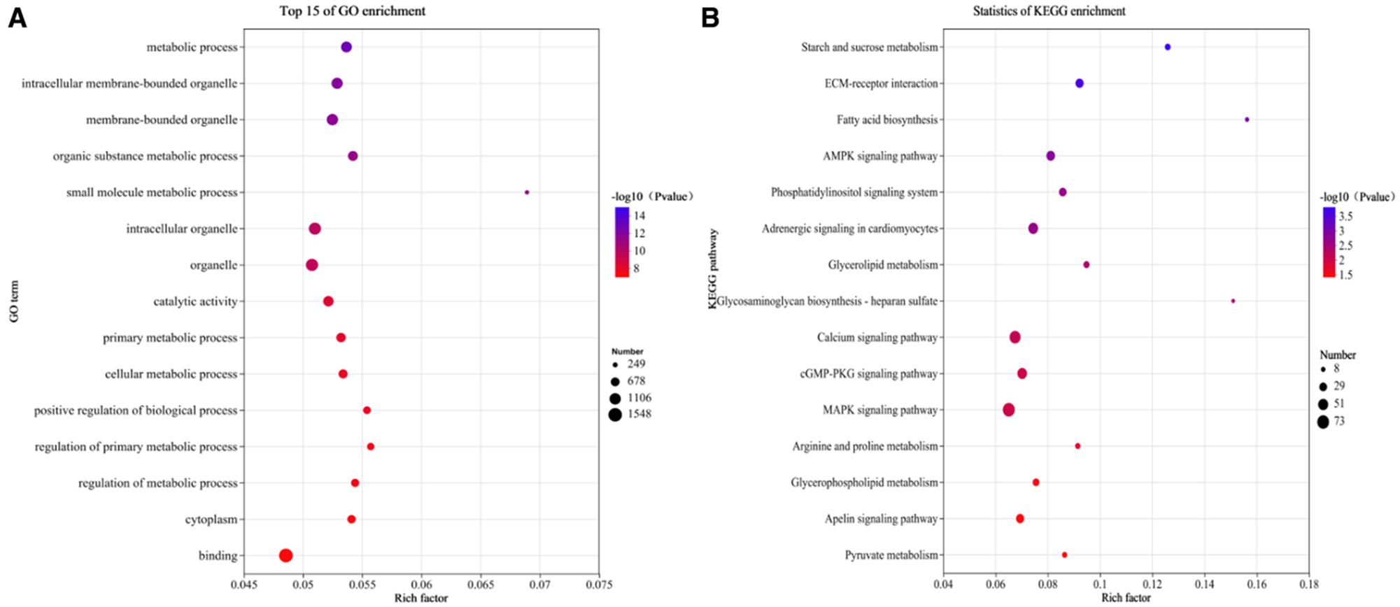 Two dot plots depicting enrichment analysis. Panel A shows the top 15 Gene Ontology (GO) terms, highlighting various metabolic processes. Panel B illustrates KEGG pathway enrichment, featuring pathways like AMPK signaling. Dots vary in color from red to blue, indicating p-values, and size represents the number of occurrences.
