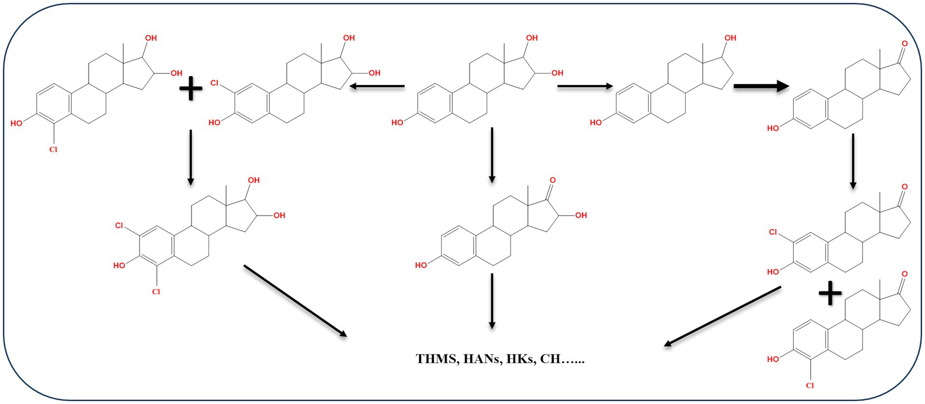 Chemical reaction pathway diagram showing transformations of steroidal compounds. Various hydroxyl and chlorine groups are depicted in red. Black arrows indicate progression steps between chemical structures, with multiple intermediate and final products labeled.