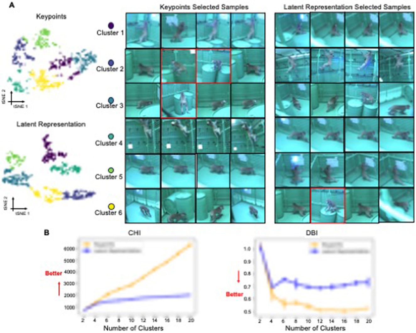 Scatter plots show clustering of keypoint and latent representation samples into six clusters. Adjacent panels display selected animal images from each cluster. Below, two line graphs compare the Calinski-Harabasz Index (CHI) and Davies-Bouldin Index (DBI) for keypoints and latent representations, with better values indicated.