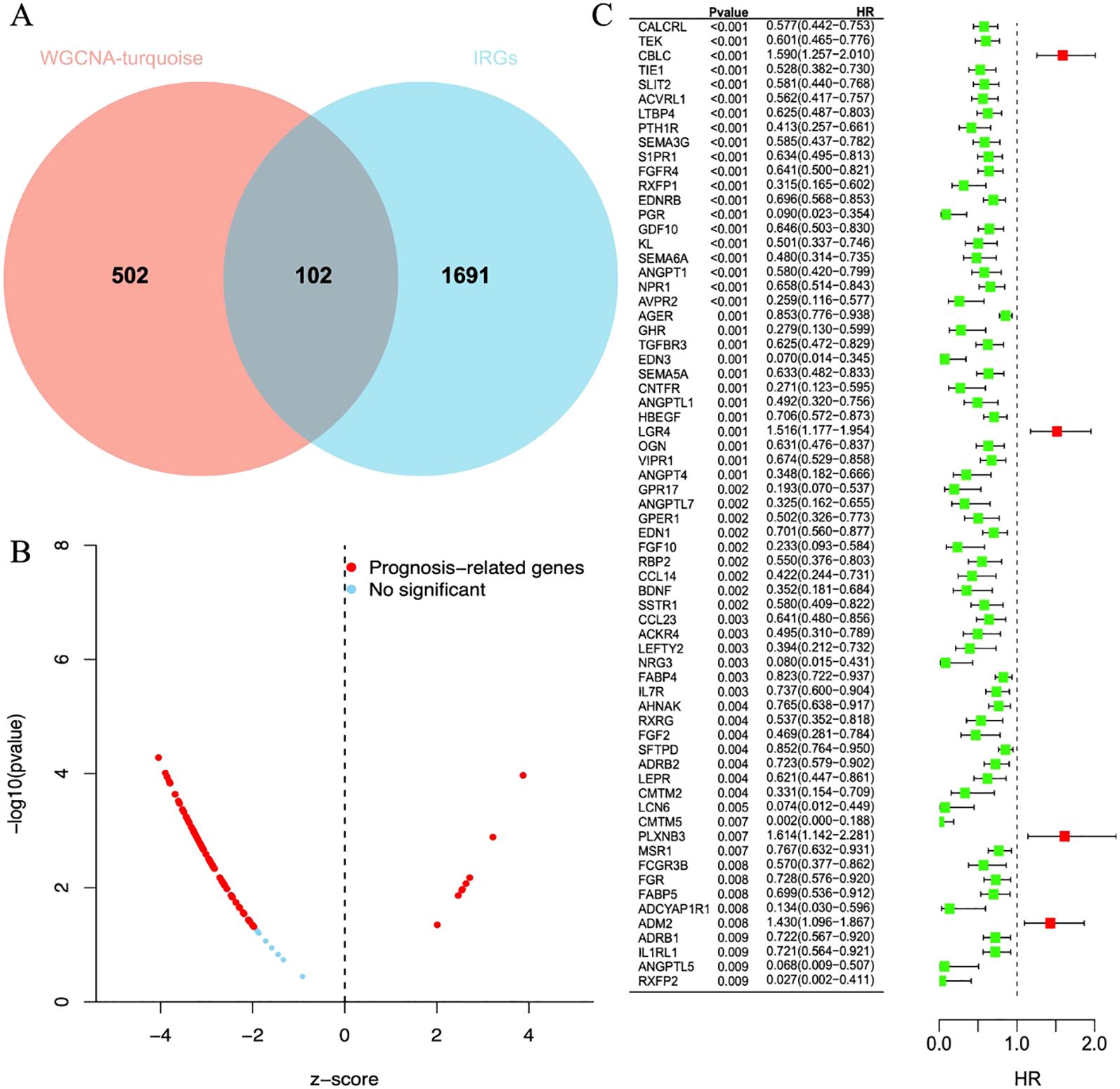Venn diagram and data visualizations analyzing gene significance. Panel A shows a Venn diagram with 502 WGCNA-turquoise genes, 1691 IRGs, and 102 in common. Panel B is a scatter plot of z-scores versus negative log p-values, highlighting prognosis-related genes in red. Panel C lists genes with p-values and hazard ratios, linking them to a bar chart visualizing hazard ratios, where significant genes are marked in red.