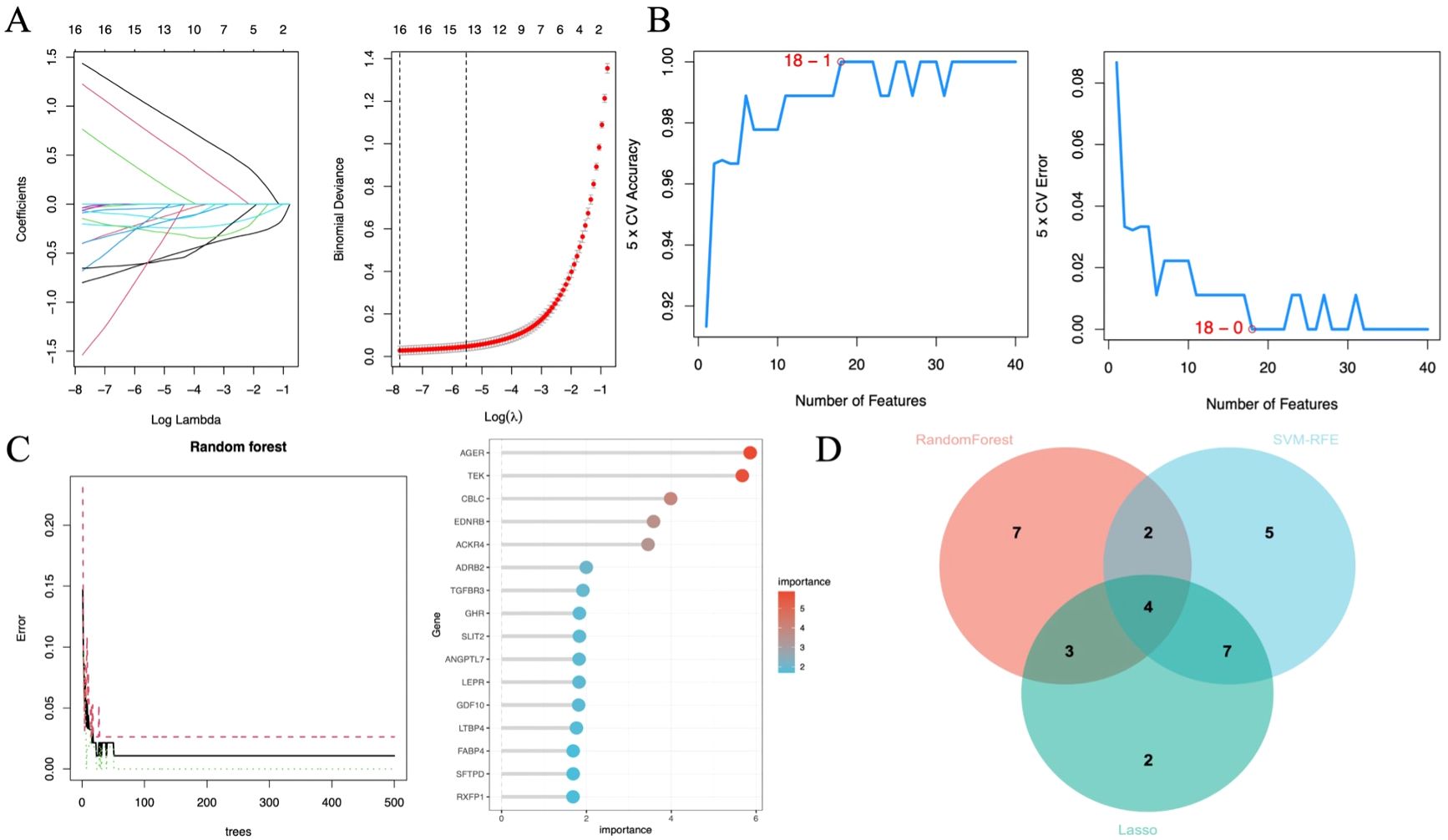 Panel A shows a LASSO regression plot with coefficients against log lambda and binomial deviance versus log of lambda. Panel B displays a graph of five-fold cross-validation accuracy and error against the number of features. Panel C presents a random forest error plot over 500 trees and lists gene importance, highlighting AGER and TEK. Panel D is a Venn diagram comparing selected features across Random Forest, SVM-RFE, and LASSO, with overlapping and unique features indicated.