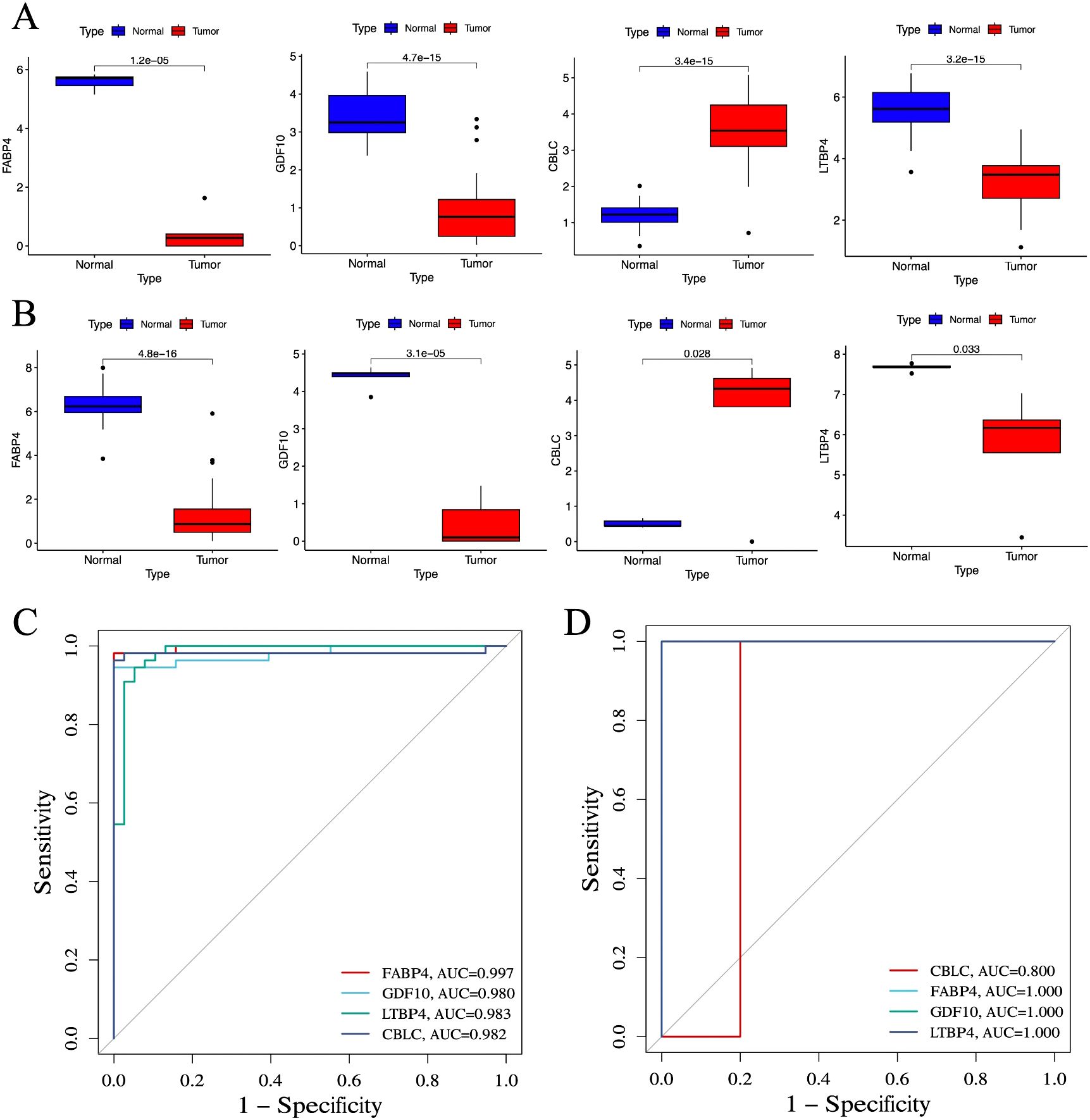 Grouped data visualizations consisting of two sets of box plots and two ROC curves. A) Four box plots compare FABP4, GDF10, CBLC, and LTBP4 expressions between normal and tumor types with significant p-values. B) Another set of box plots showing FABP4, GDF10, CBLC, and LTBP4 expressions between normal and tumor types with varying significance levels. C) ROC curve with FABP4, GDF10, LTBP4, and CBLC having AUC values of 0.997, 0.980, 0.983, and 0.982 respectively. D) ROC curve with CBLC, FABP4, GDF10, and LTBP4 showing AUC values of 0.800, 1.000, 1.000, and 1.000 respectively.