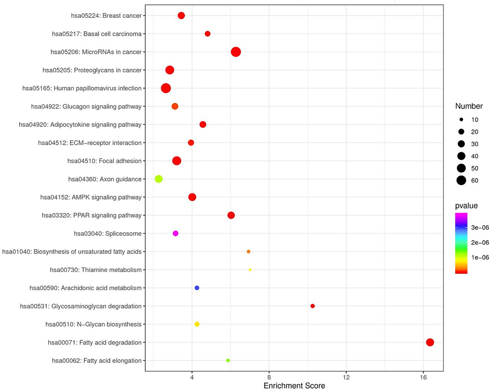 Dot plot displaying enrichment scores for various pathways related to cancer and metabolism. Dot size indicates the number of genes, with larger dots for more genes. Dot color represents p-value, ranging from blue to red for decreasing significance.