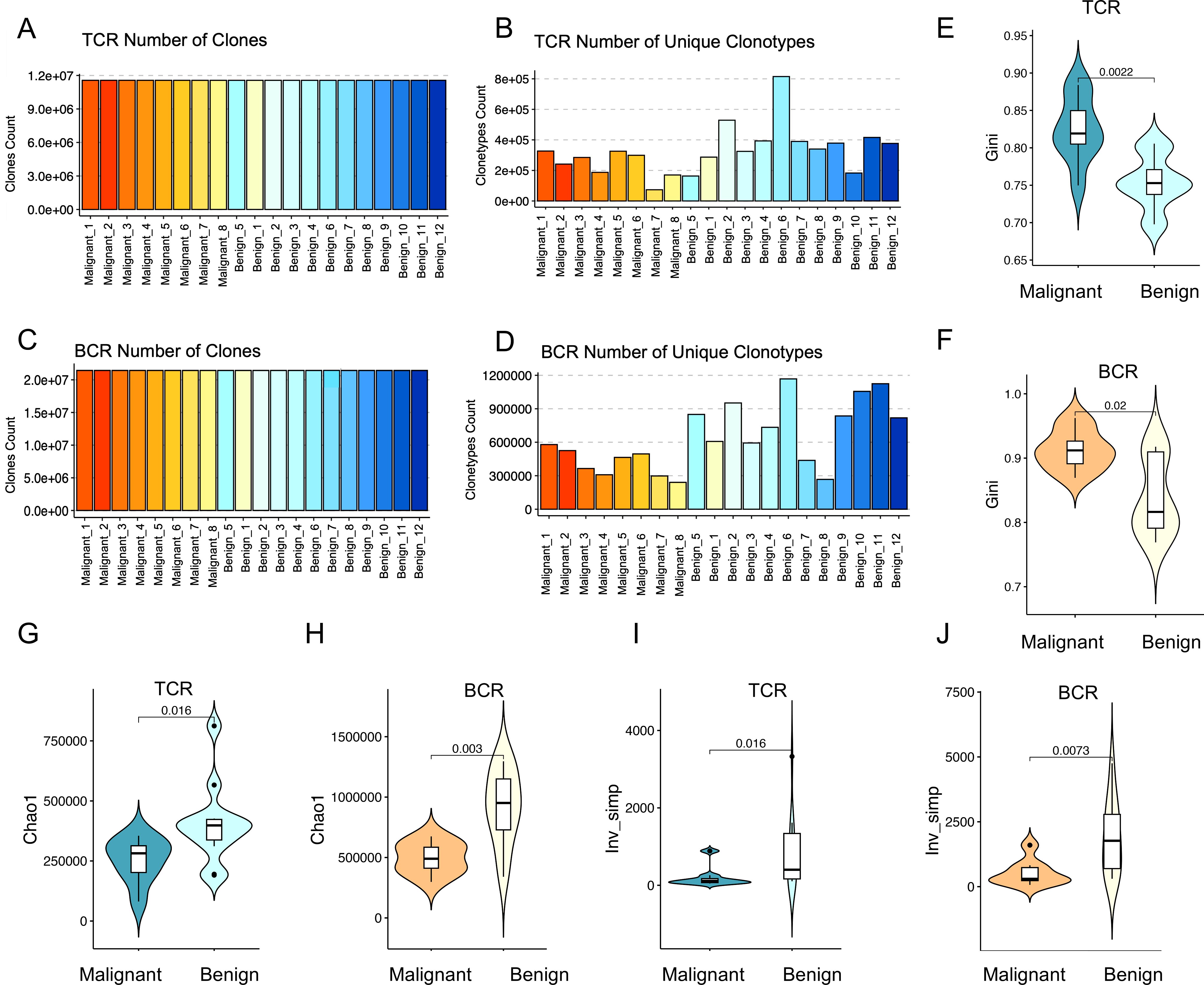 Bar and violin plots compare TCR and BCR metrics in malignant and benign samples. Panels A and C show the number of TCR and BCR clones, while B and D display unique clonotypes. Panels E and F depict Gini coefficients, and G and H illustrate Chao1 indices. Panels I and J show inverse Simpson indices. Statistical significance is indicated.