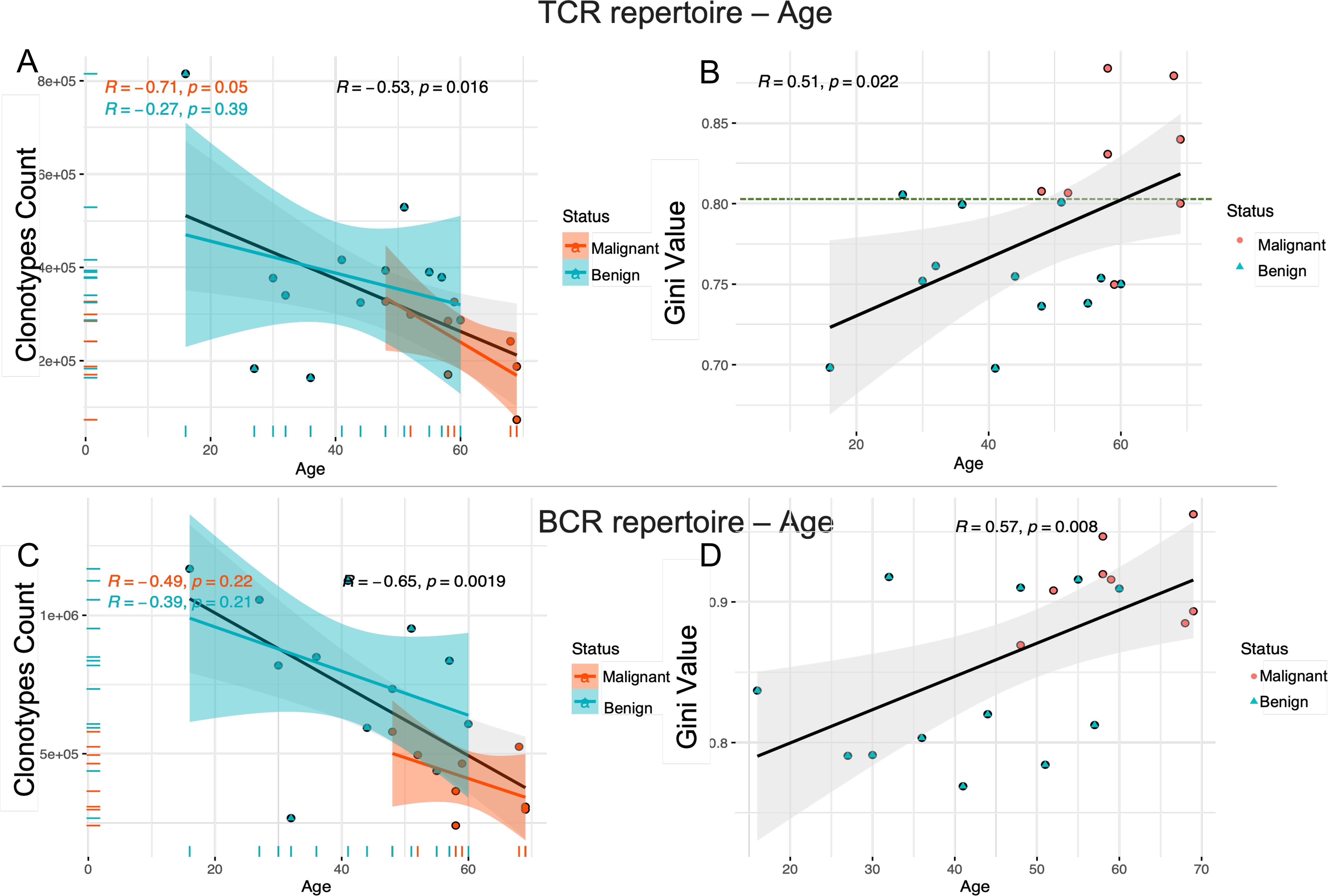 Four scatter plots illustrate the relationship between age and clonotypes in TCR and BCR repertoires. Plot A shows TCR clonotypes decreasing with age for malignant and benign statuses. Plot B indicates an increase in TCR Gini value with age. Plot C demonstrates BCR clonotypes declining with age. Plot D shows BCR Gini value increasing. Each plot includes regression lines and correlation coefficients with significance values.