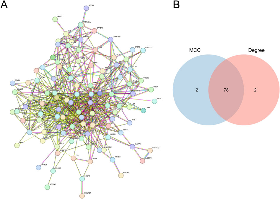 A network diagram of interconnected nodes labeled with different gene identifiers is shown on the left, indicating various relationships. On the right, a Venn diagram compares MCC and Degree, with an overlap displaying the number 78 and non-overlapping sections showing the number 2.