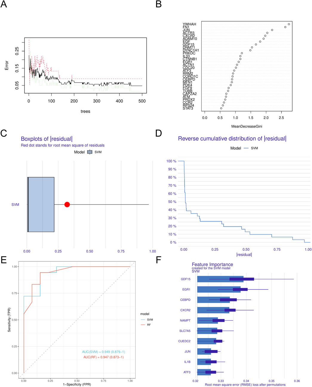 Panel A displays a line chart showing error versus the number of trees. Panel B is a dot plot of variable importance measured by MeanDecreaseGini. Panel C includes boxplots of residuals with a red dot indicating the root mean square of residuals. Panel D presents a reverse cumulative distribution of residuals. Panel E is a ROC curve comparing SVM and RF models, with AUC values. Panel F illustrates the feature importance for the SVM model, measured by RMSE loss after permutations.