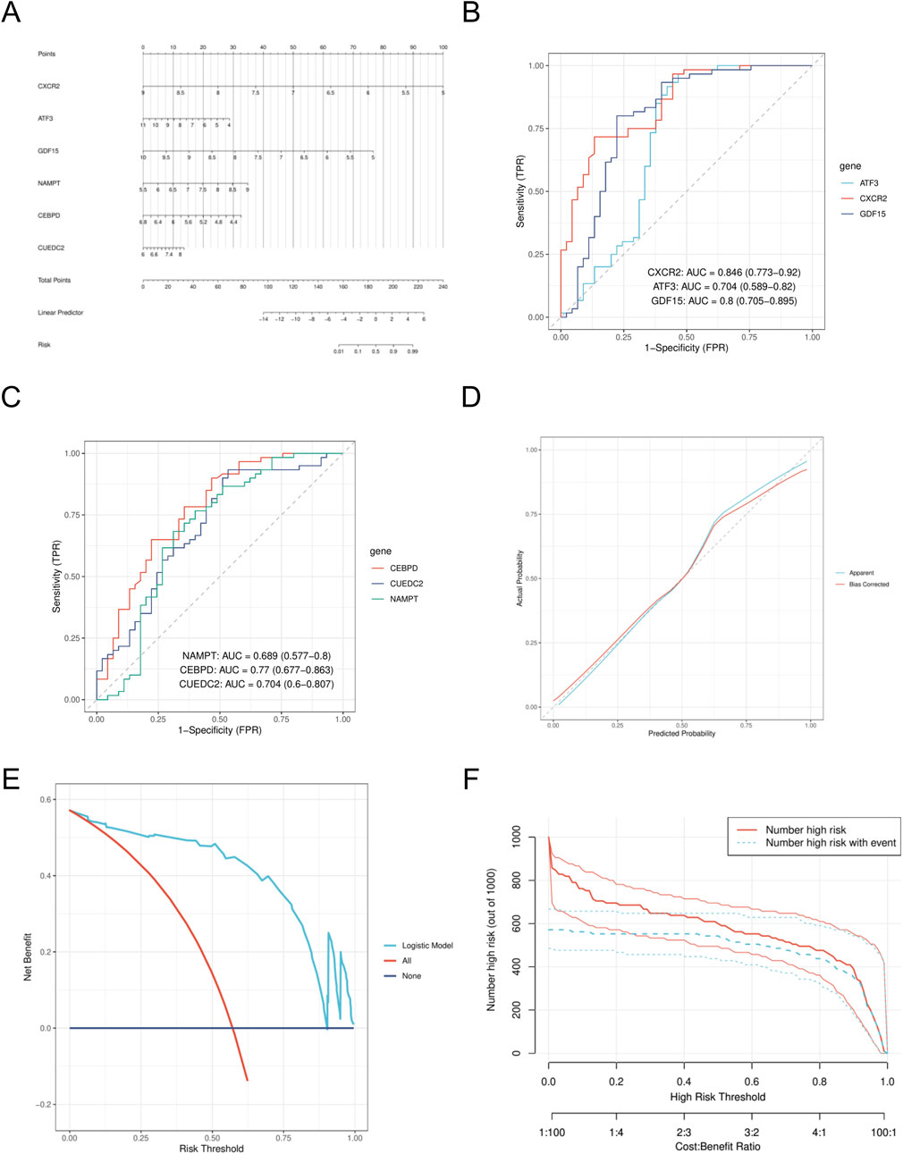 Panel A shows a nomogram with scales for points, genes, total points, linear predictor, and risk. Panel B is a ROC curve for genes ATF3, CXCR2, and GDF15, displaying sensitivity and specificity with AUC values. Panel C is another ROC curve for genes CEBPD, CUEDC2, and NAMPT, with AUC values. Panel D is a calibration curve comparing apparent and bias-corrected models. Panel E illustrates a decision curve analysis showing net benefit against risk threshold. Panel F shows a chart comparing the number of high-risk individuals to events, based on different cost-benefit ratios.