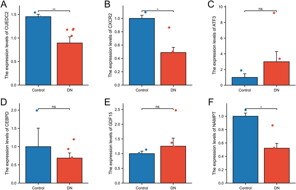 Bar charts labeled A to F compare the expression levels of six genes: CUEDC2, CXCR2, ATF3, CEBPD, GDF15, and NAMPT, between control (blue) and DN (red) groups. Significant differences are noted in charts A, B, and F with asterisks, while charts C, D, and E are labeled