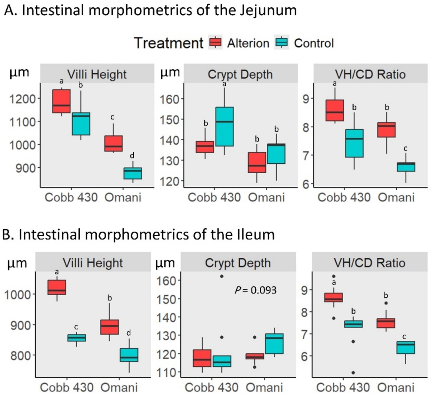 Graphs showing intestinal morphometrics of the jejunum and ileum for Cobb 430 and Omani treatments. Charts compare villi height, crypt depth, and villi height/crypt depth (VH/CD) ratio. Alterion and Control treatments are represented by red and blue, respectively. Jejunum graphs show higher villi height and crypt depth for Alterion, while VH/CD ratio is higher for Control in Omani. Ileum graphs show increased villi height and VH/CD ratio for Alterion in Cobb 430.