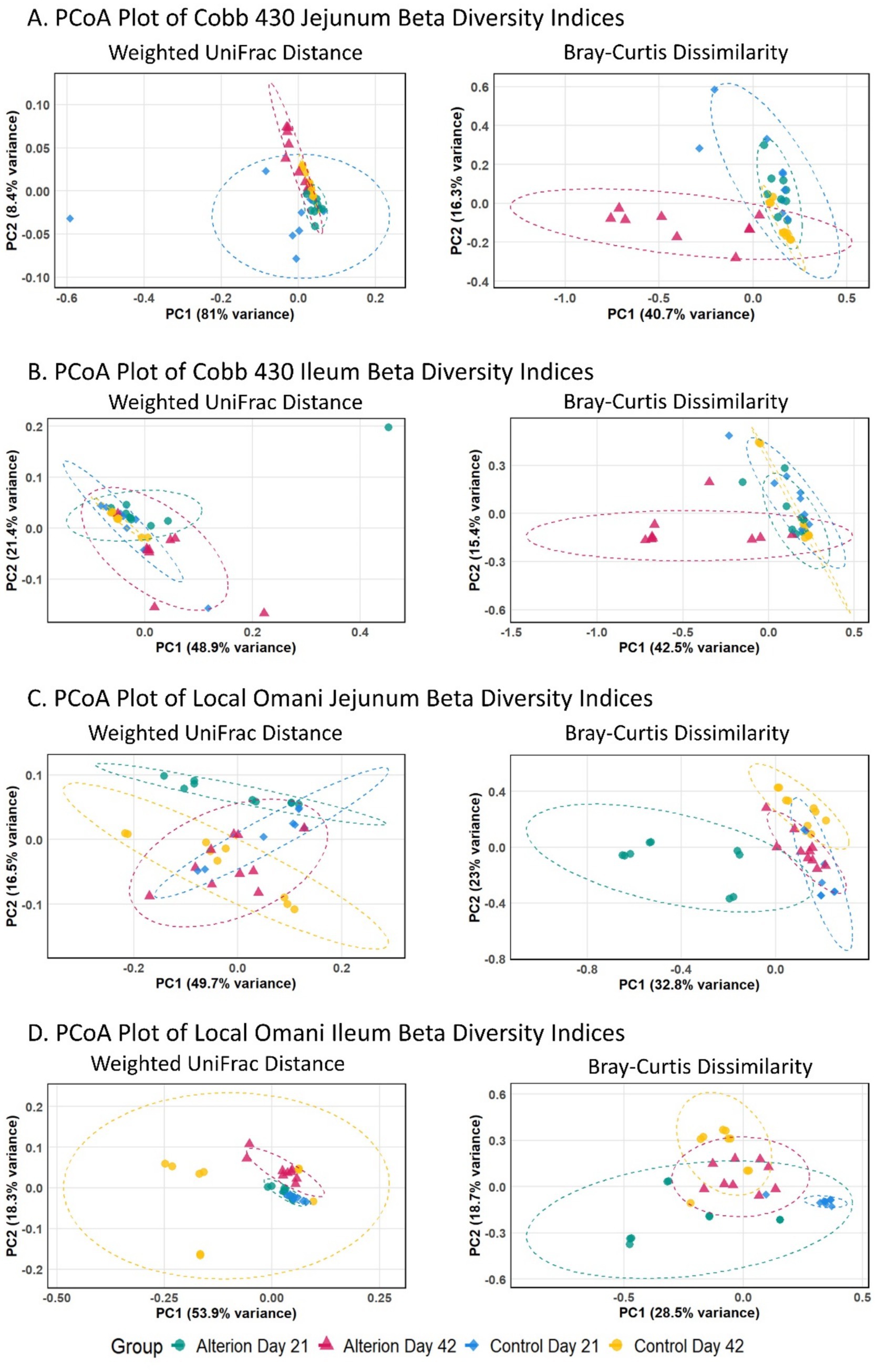 Principal Coordinate Analysis (PCoA) plots show beta diversity indices for jejunum and ileum samples from Cobb 430 and Local Omani chickens. Subfigures A to D display plots for different datasets using Weighted UniFrac Distance and Bray-Curtis Dissimilarity. Data points are categorized into four groups: Alterion Day 21 and 42, Control Day 21 and 42, each represented by different shapes and colors. Variability on the axes is noted as a percentage. Plots include confidence ellipses around data clusters.