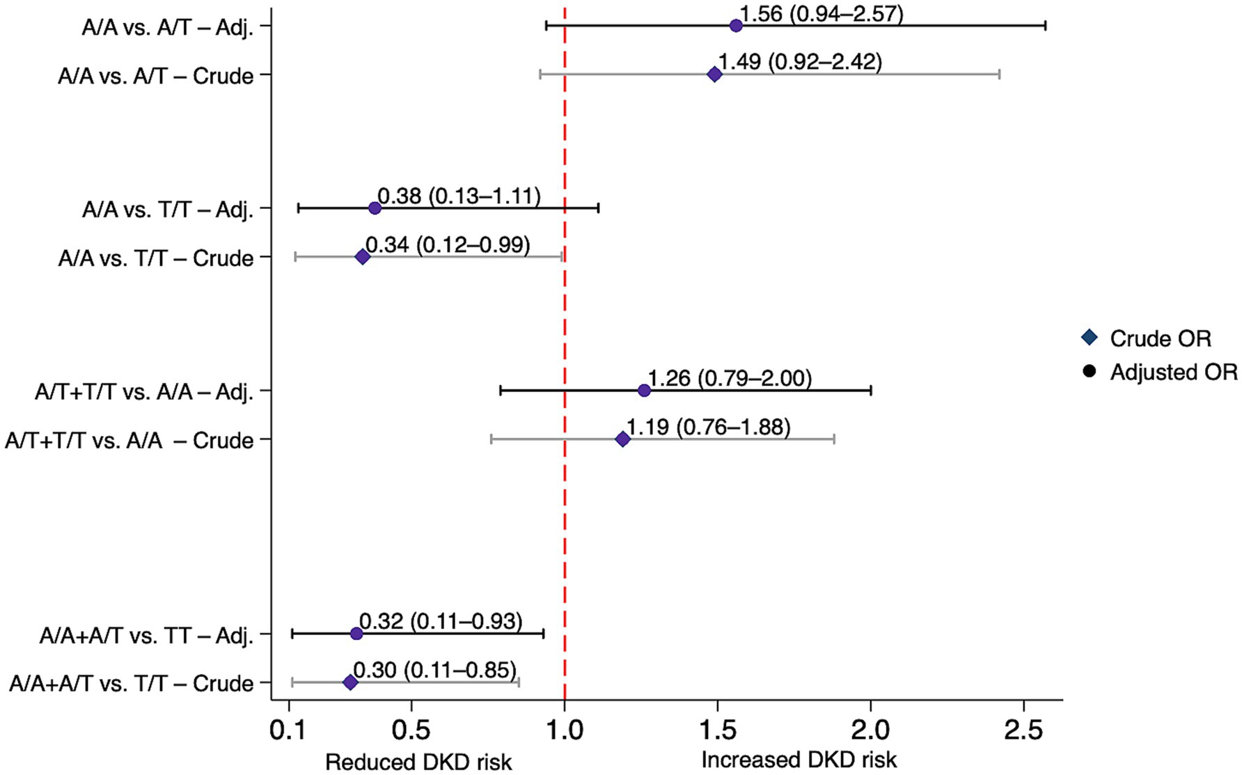 Forest plot showing crude and adjusted odds ratios (ORs) for the association between CYP27A1 rs17470271 genotypes and diabetic kidney disease (DKD) under codominant, dominant, and recessive models. Diamonds indicate crude ORs; circles indicate adjusted ORs. The red dashed line marks OR = 1. Adjusted models account for age, gender, ethnicity, BMI, and diabetes duration. T/T genotype carriers had significantly lower DKD risk compared with A/A carriers in codominant (OR = 0.34, CI: 0.12–0.99) and recessive (OR = 0.30, CI: 0.11–0.85) models. The association remained significant in the adjusted recessive model (AOR = 0.32, CI: 0.11–0.93).