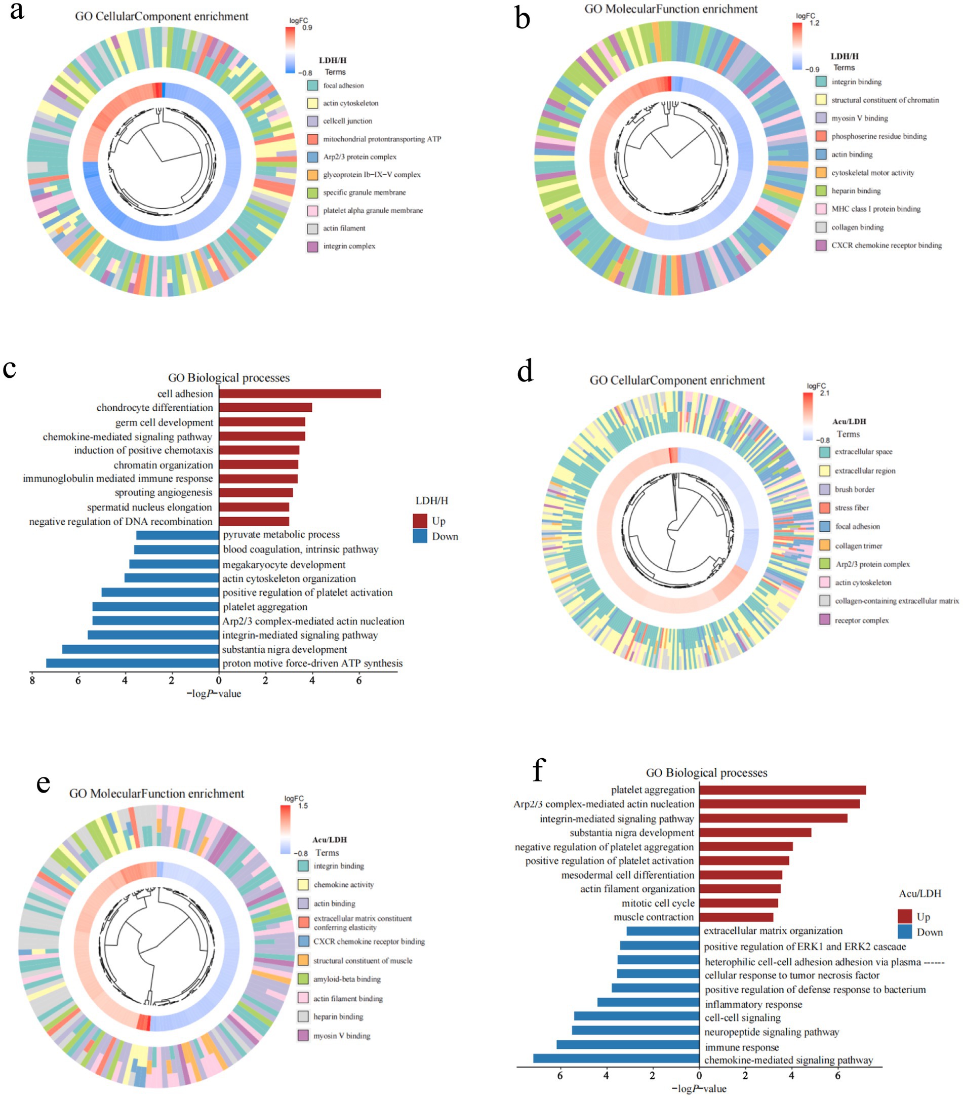 Six visuals illustrate gene ontology (GO) enrichment analysis. Panels (a) and (d) display circular diagrams of GO Cellular Component enrichment. Panels (b) and (e) show GO Molecular Function enrichment. Panels (c) and (f) feature bar graphs of GO Biological Processes, highlighting gene expression differences with red and blue bars for up and downregulation, respectively. Each section includes legends indicating term categories and log fold change color scales.