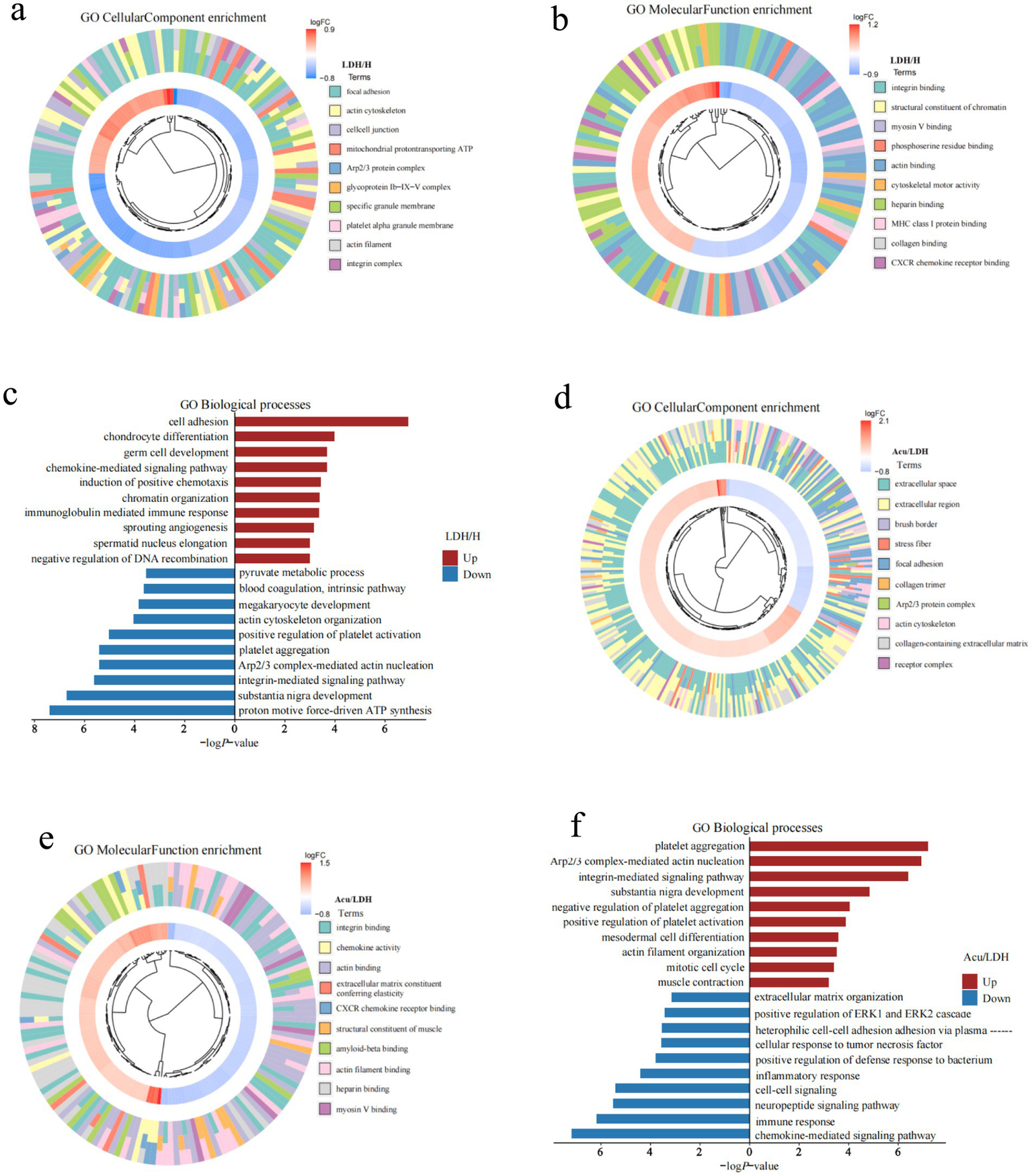 Six visuals illustrate gene ontology (GO) enrichment analysis. Panels (a) and (d) display circular diagrams of GO Cellular Component enrichment. Panels (b) and (e) show GO Molecular Function enrichment. Panels (c) and (f) feature bar graphs of GO Biological Processes, highlighting gene expression differences with red and blue bars for up and downregulation, respectively. Each section includes legends indicating term categories and log fold change color scales.
