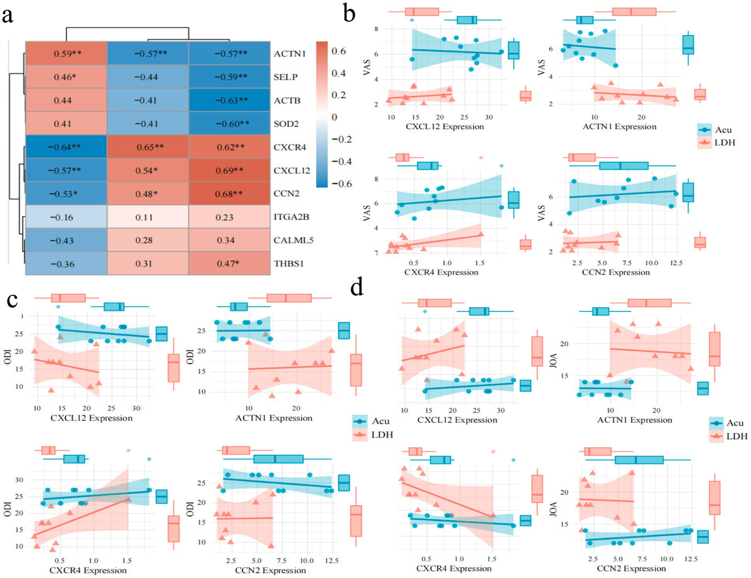 Four-panel image depicting gene expression data and correlations:a) Heatmap showing correlations between different genes with color gradients indicating correlation strength.b) Four scatter plots with regression lines displaying relationships between gene expression and VAS scores for CXCL12, ACTN1, CXCR4, and CCN2.c) Four scatter plots with regression lines illustrating associations between gene expression and ODI scores for the same genes.d) Four scatter plots with regression lines indicating associations between gene expression and JOA scores for CXCL12, ACTN1, CXCR4, and CCN2. Blue and red represent "Acu" and "LDH" groups, respectively.