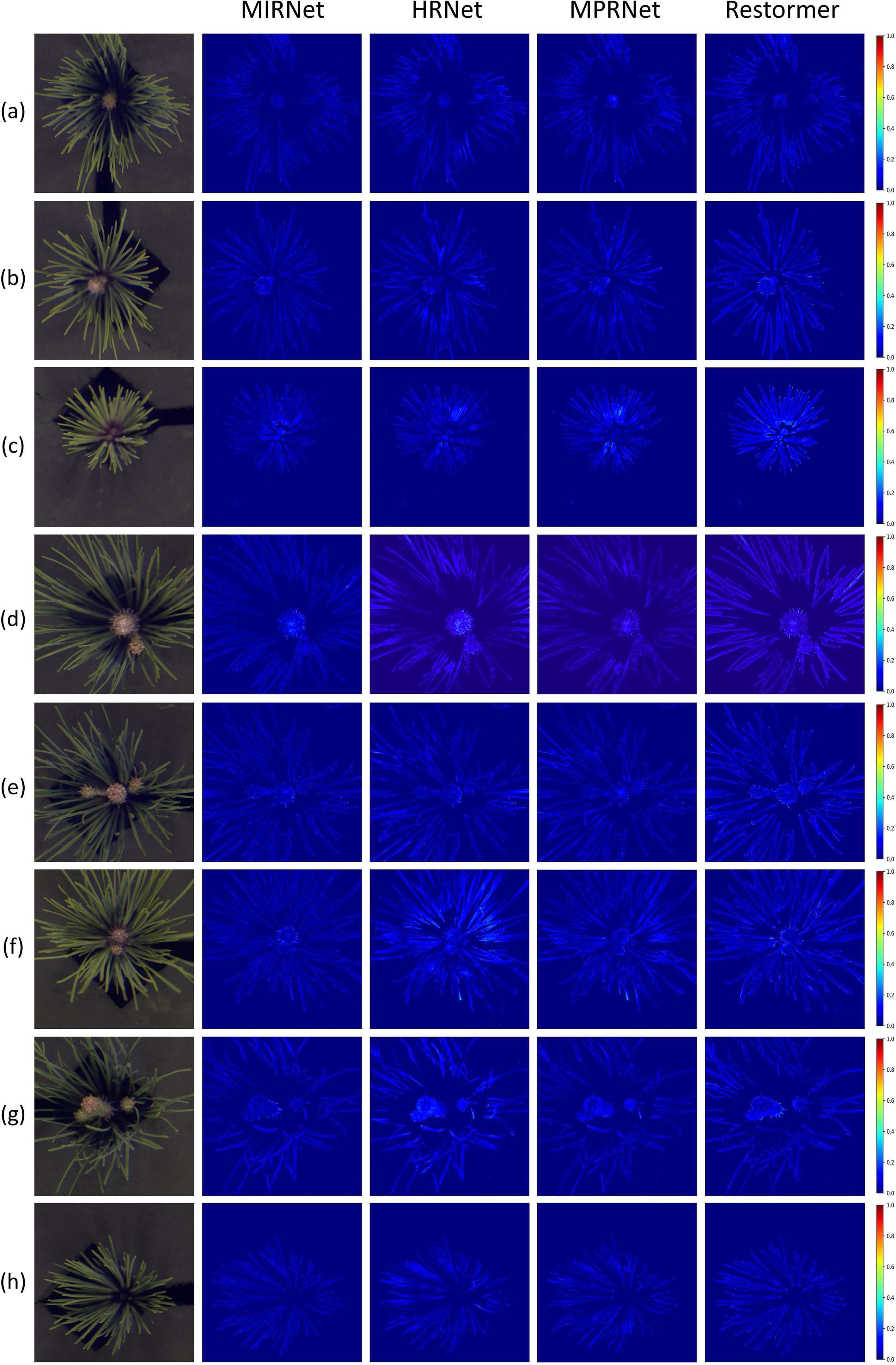 A matrix of images shows visual comparisons between different image processing methods. Each row is labeled from (a) to (h) with the first column displaying a flower, followed by columns for MIRNet, HRNet, MPRNet, and Restormer. Each processed image highlights details in blue against a dark background, with an associated vertical color scale from zero to one indicating intensity.