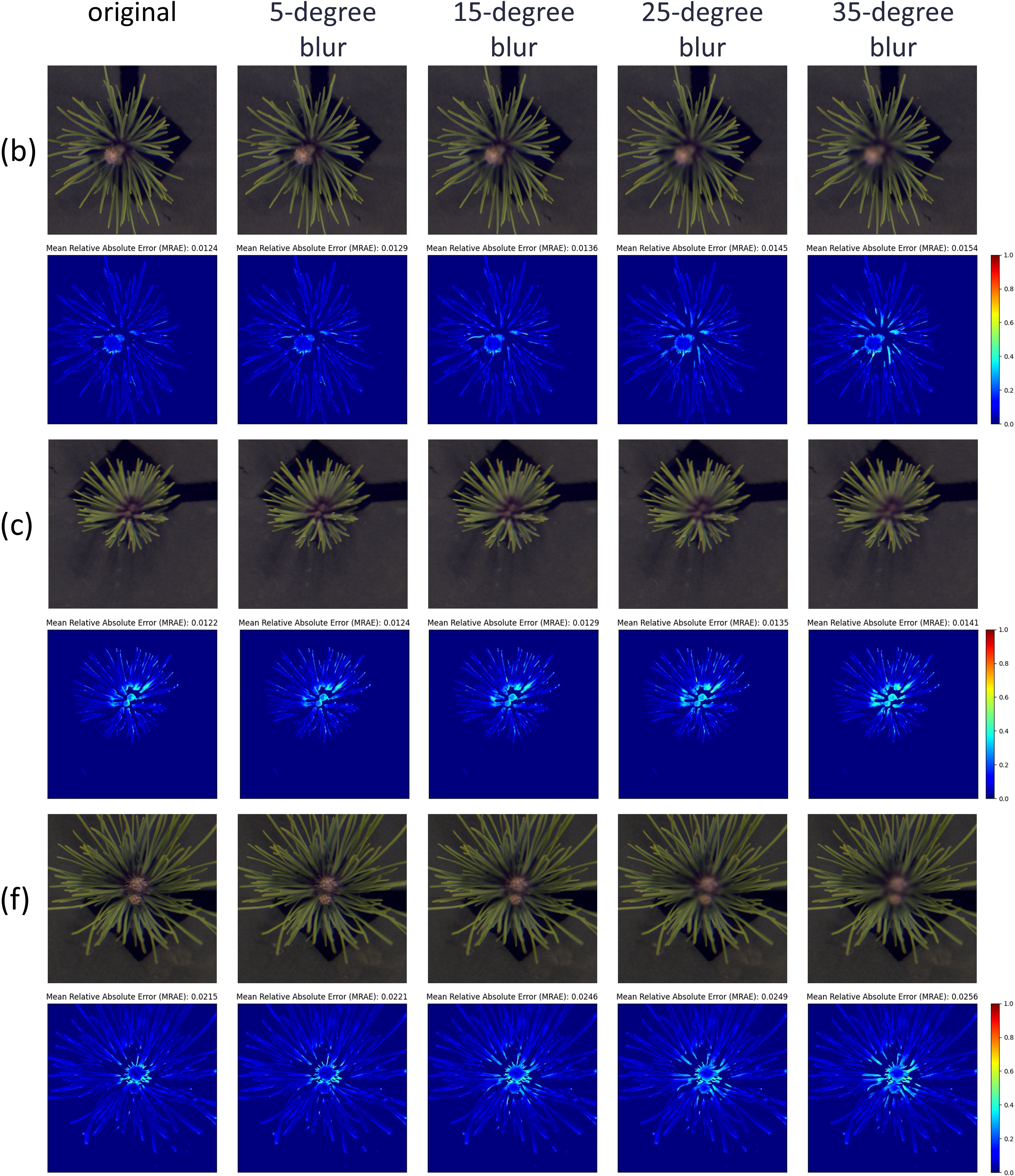A series of images showing a plant with varying degrees of motion blur: original, 5-degree, 15-degree, 25-degree, and 35-degree. Each set includes the blurred image and a corresponding error map in blue with a Mean Relative Absolute Error (MRAE) value. The error maps highlight differences with a color scale from zero to one, represented by color gradients. Three rows labeled (b), (c), and (f) compare the blurring effects across different conditions.