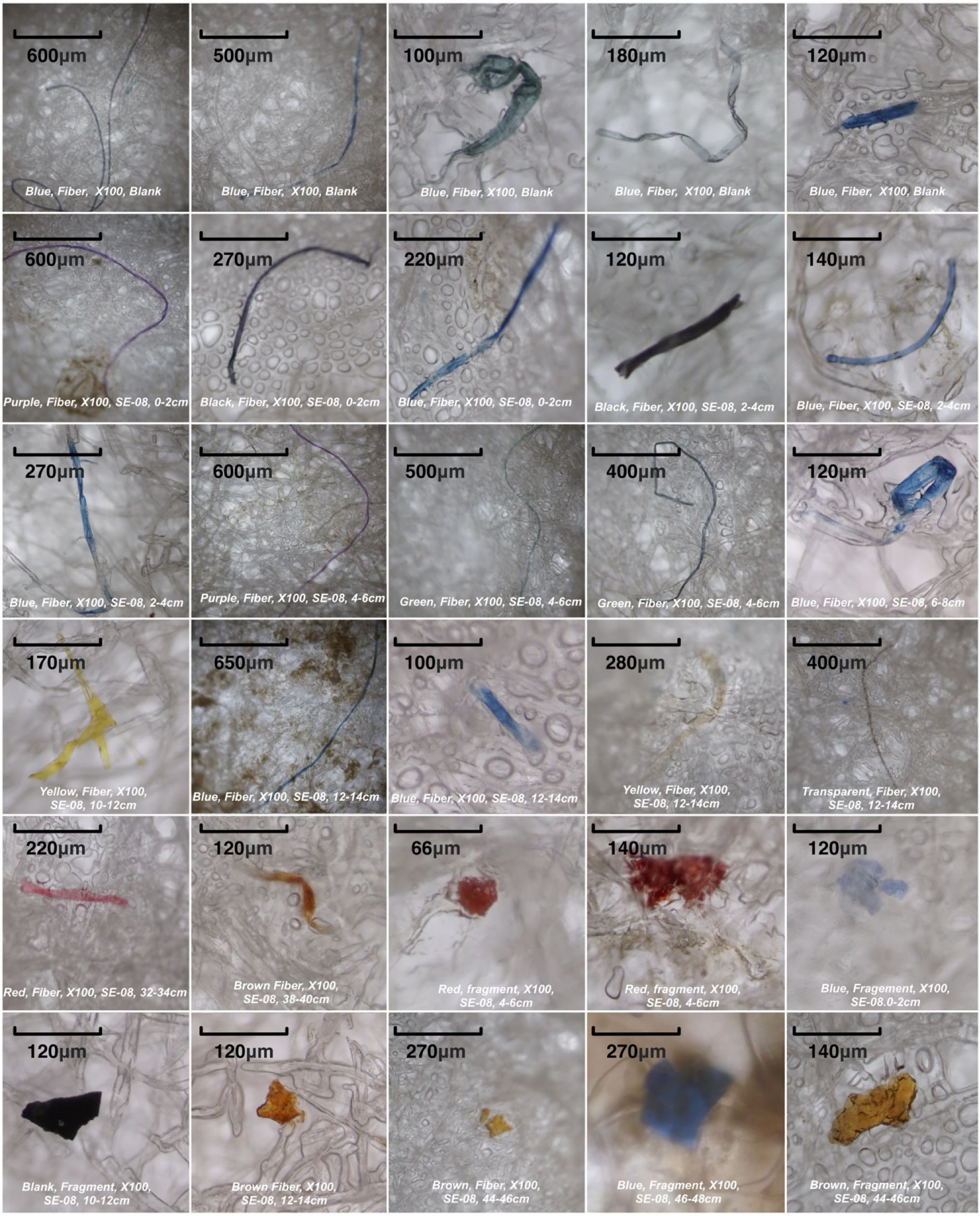 Microscopic images of various microplastic pieces, each labeled with color, shape, magnification, blank/sample, and depth of observation.