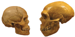 www.frontiersin.org