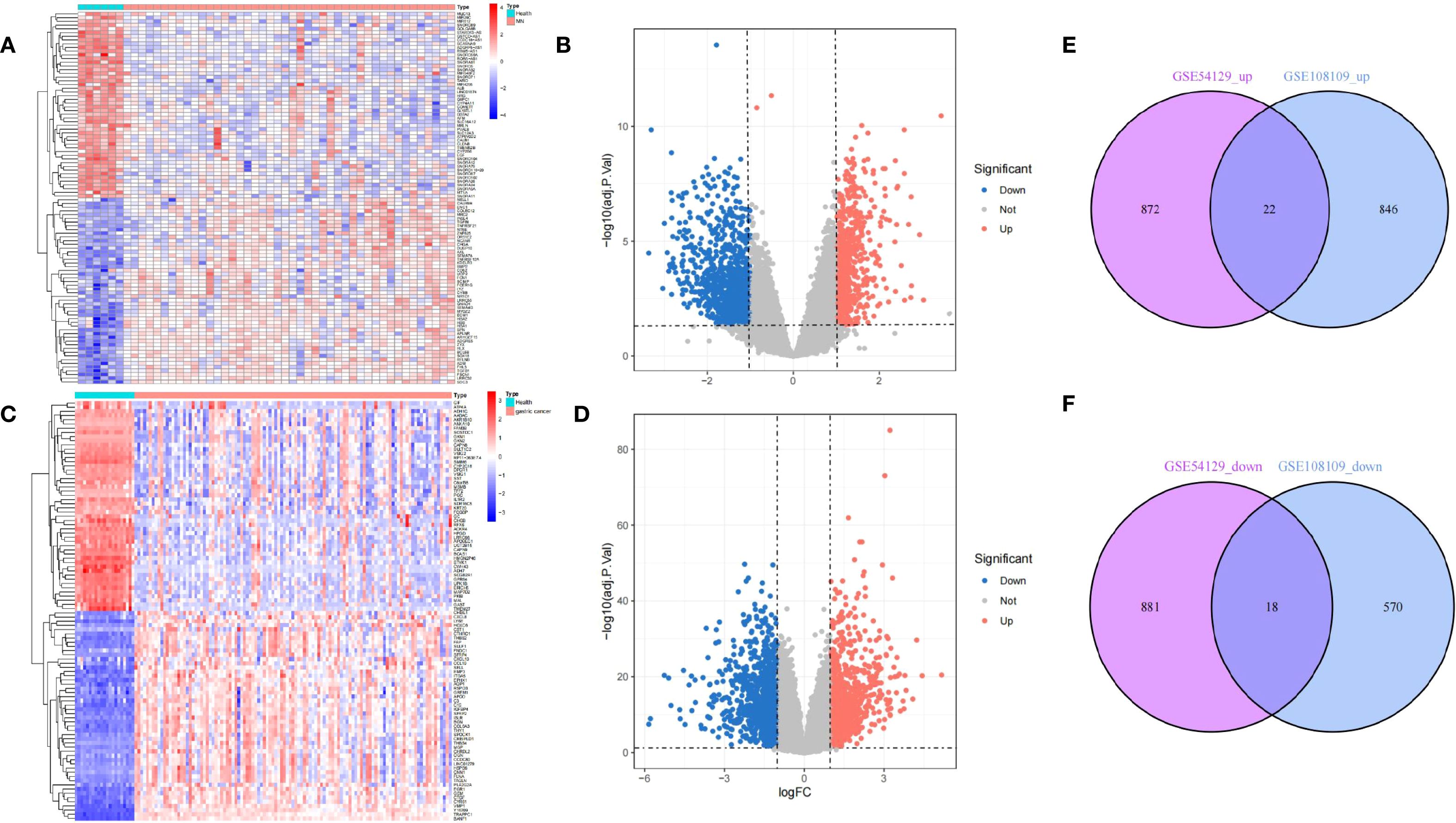 Heatmaps, volcano plots, and Venn diagrams analyzing gene expression in health versus gastric cancer. Panel A and C show heatmaps depicting gene expression variations, with red indicating upregulation and blue downregulation. Panel B and D present volcano plots highlighting significant gene expression differences. Panels E and F display Venn diagrams showing overlap in upregulated and downregulated genes between GSE54129 and GSE108109 datasets.
