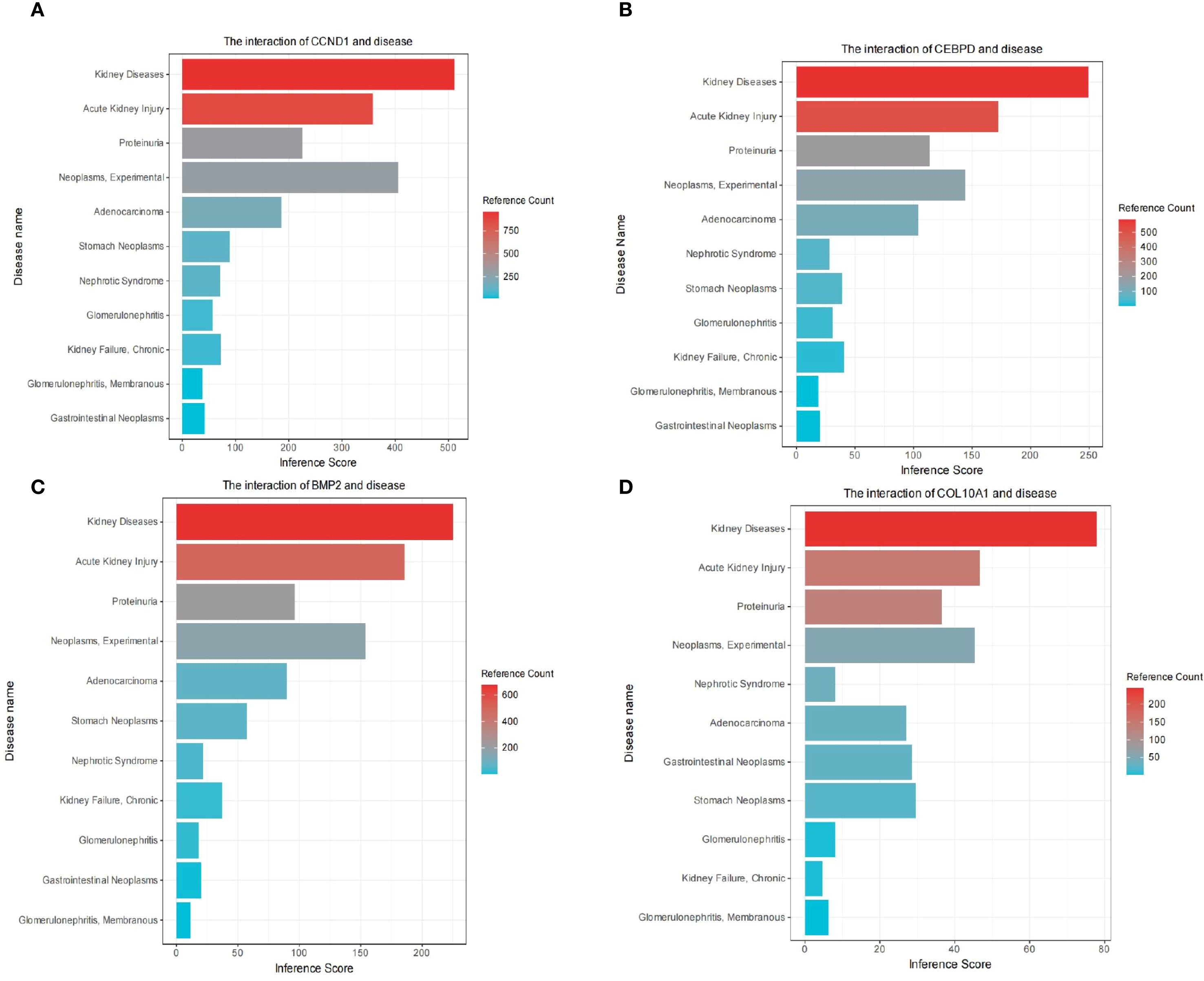 Four bar charts labeled A, B, C, and D depict the interaction of specific genes (CCND1, CEBPD, BMP2, and COL10A1) with various diseases. Each chart includes bars representing diseases like kidney diseases, acute kidney injury, proteinuria, and neoplasms. The bars vary in color intensity from blue to red, indicating reference counts ranging from 100 to 750. Kidney diseases consistently show a high inference score across all charts, marked in red.