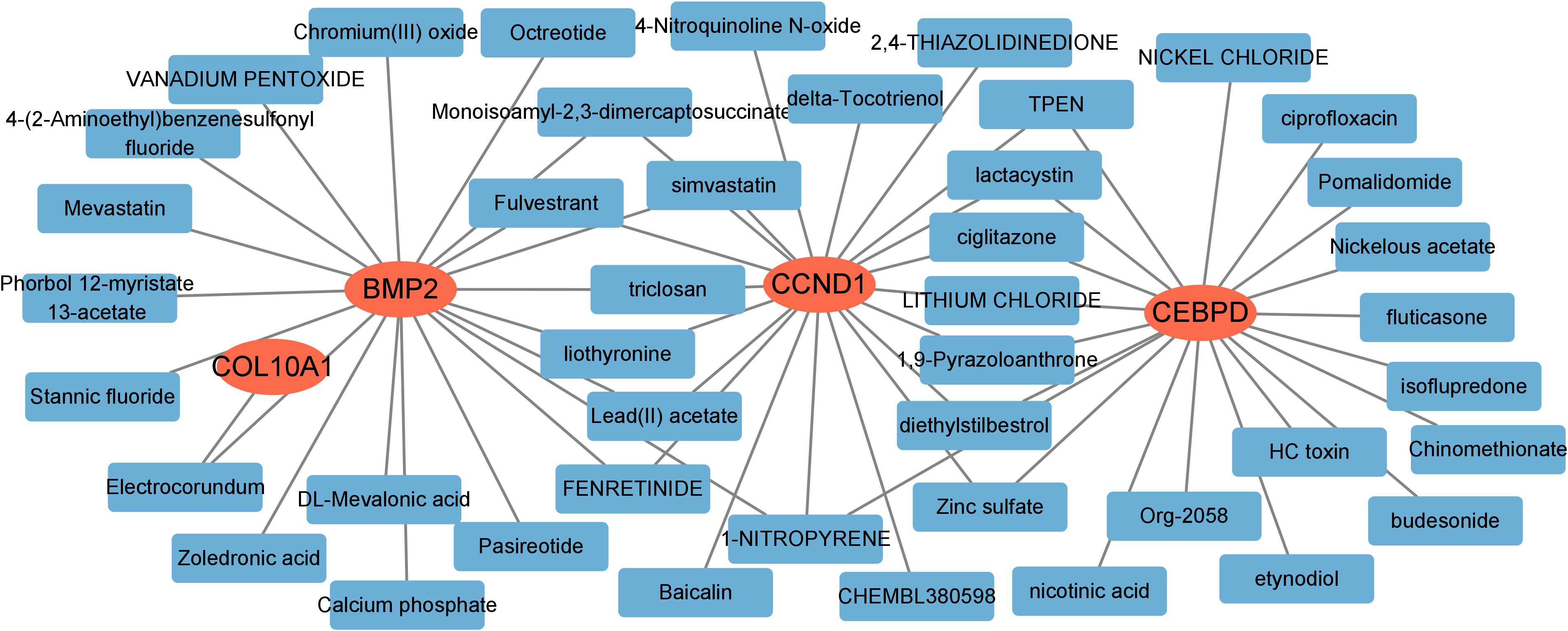 Network diagram displaying interactions among three central nodes: BMP2, CCND1, and CEBPD, marked in red. Each node is connected to various chemical compounds, shown in blue boxes, such as Chromium(III) oxide, Vanadium Pentoxide, TPEN, Nickel Chloride, Ciprofloxacin, and Budesonide. The structure emphasizes the relationship between these compounds and the central nodes.