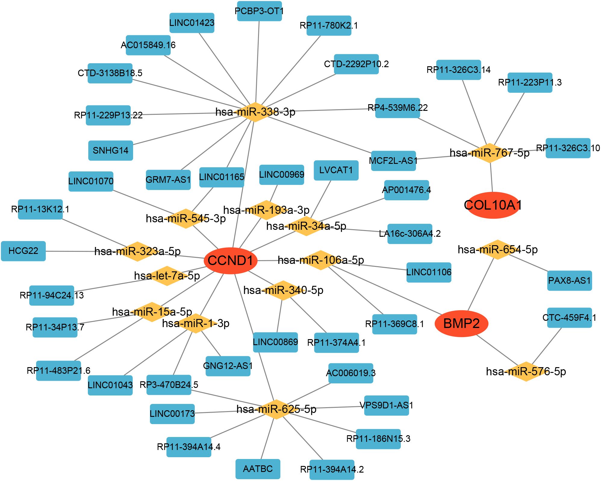 Graphical network visualization showing relationships between various genes and microRNAs. Key nodes include CCND1, COL10A1, and BMP2, highlighted in red. Connections are marked with microRNAs such as hsa-miR-338-3p and hsa-miR-767-5p, represented in orange. Blue rectangles denote related gene identifiers like LINC01423 and RP11-780K2.1.