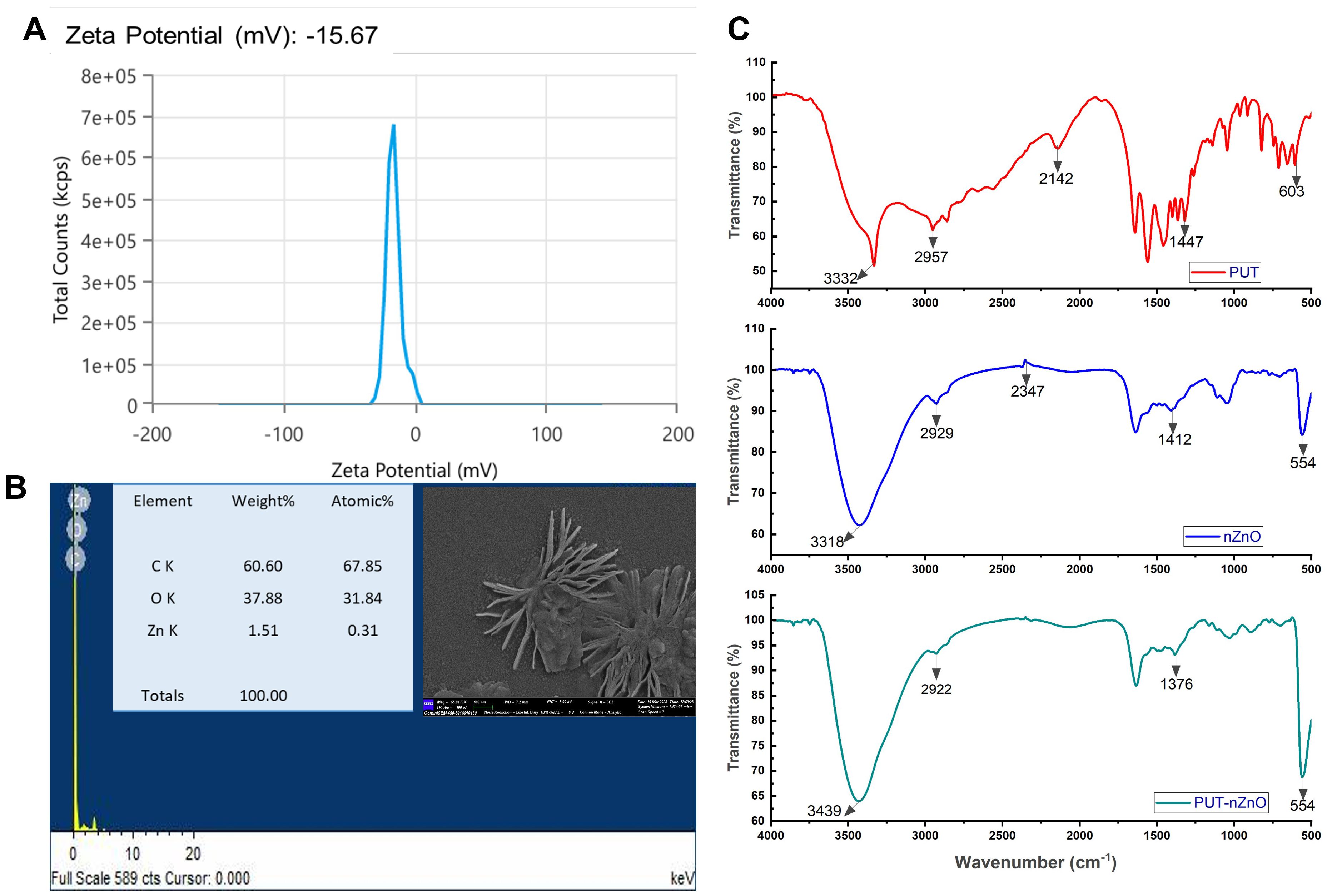 Image comprises three panels: A) Graph displaying a zeta potential curve at -15.67 mV with a peak around zero. B) Elemental analysis with a table showing carbon, oxygen, and zinc percentages, alongside a microscopic image of spiky particles. C) Three overlaid FTIR spectra for PUT, nZnO, and PUT-nZnO, showing transmittance peaks near wavenumbers 3332, 2929, and 3439 cm⁻¹.