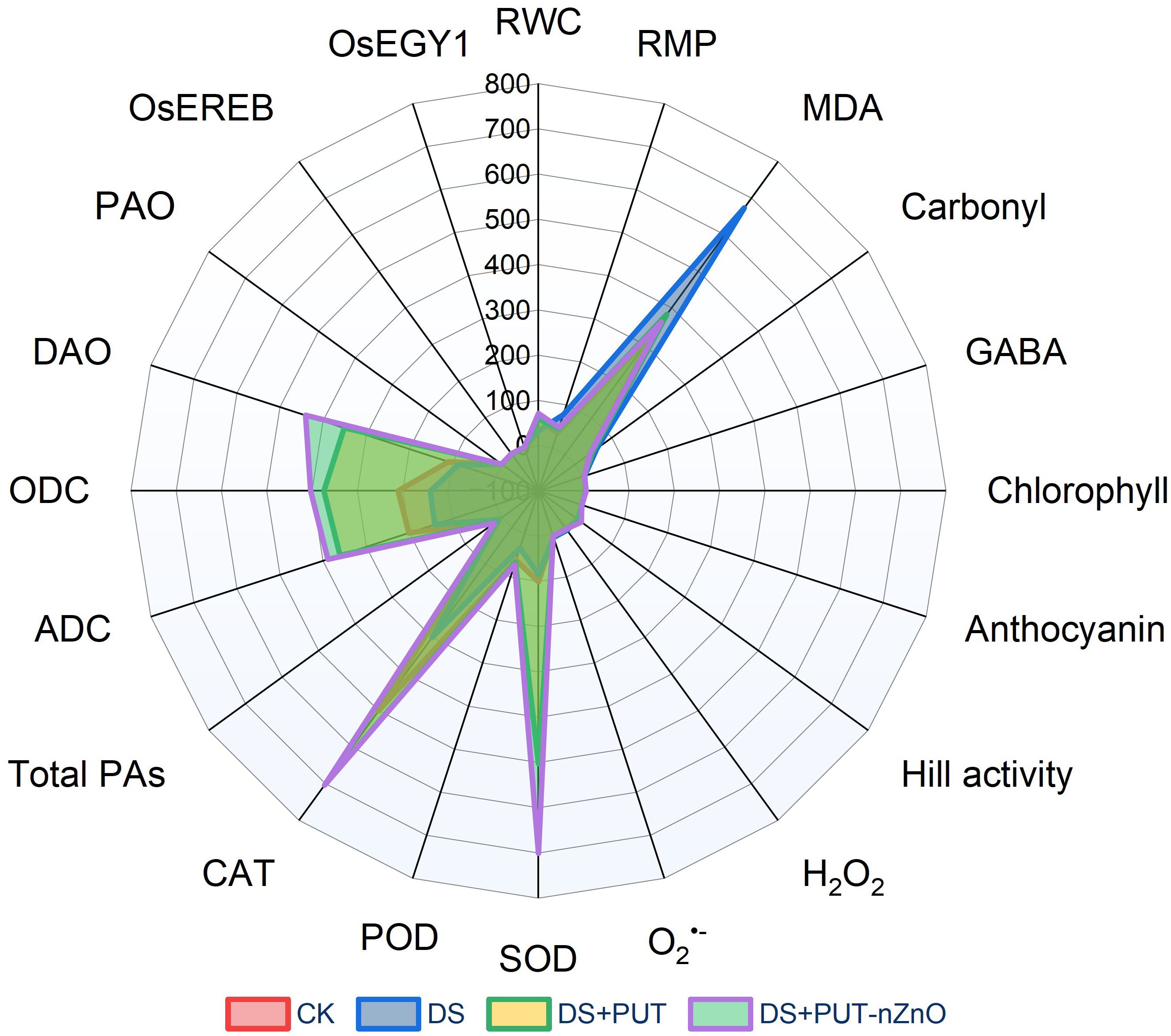 Radar chart compares CK, DS, DS+PUT, and DS+PUT-nZnO across metrics like OsEGY1, RWC, MDA, Chlorophyll, and others. Different colored lines represent each group, showing varying data patterns.