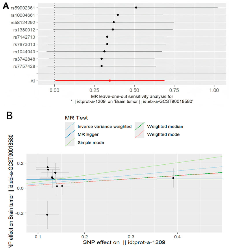 Panel A shows a Mendelian Randomization leave-one-out sensitivity analysis for various SNPs associated with brain tumors, displaying point estimates and confidence intervals. Panel B depicts a scatterplot illustrating the effect of SNPs on brain tumor risk. Different MR tests such as inverse variance weighted, MR Egger, and others are represented by different colored lines to assess the relationship between SNP effect and brain tumor risk.