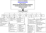 www.frontiersin.org