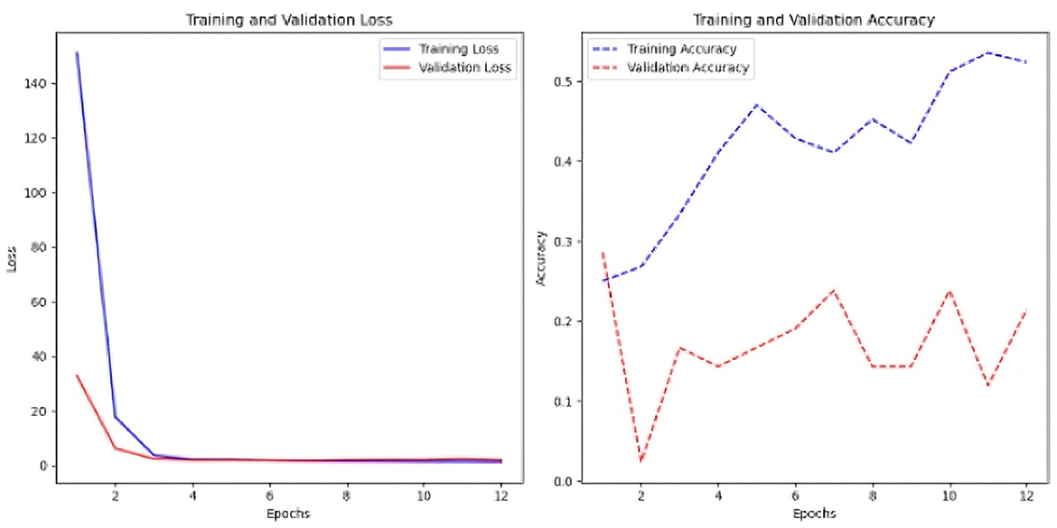 Two line graphs display training and validation metrics over twelve epochs. The left graph shows loss decreasing rapidly, then stabilizing. The right graph shows accuracy, with training accuracy increasing and validation accuracy fluctuating but remaining lower.
