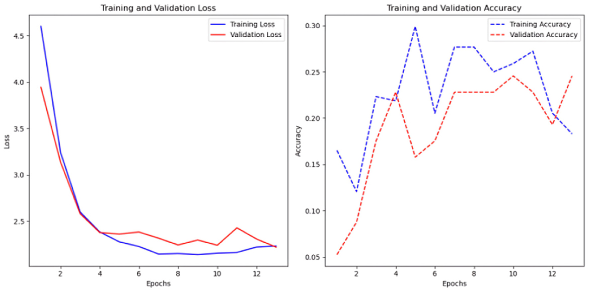 Two line graphs display training and validation metrics over epochs. The left graph shows loss decreasing, with training and validation losses converging around 13 epochs. The right graph presents accuracy, showing fluctuations but an overall increase, with training accuracy slightly higher than validation. Both graphs are marked with blue for training and red for validation.