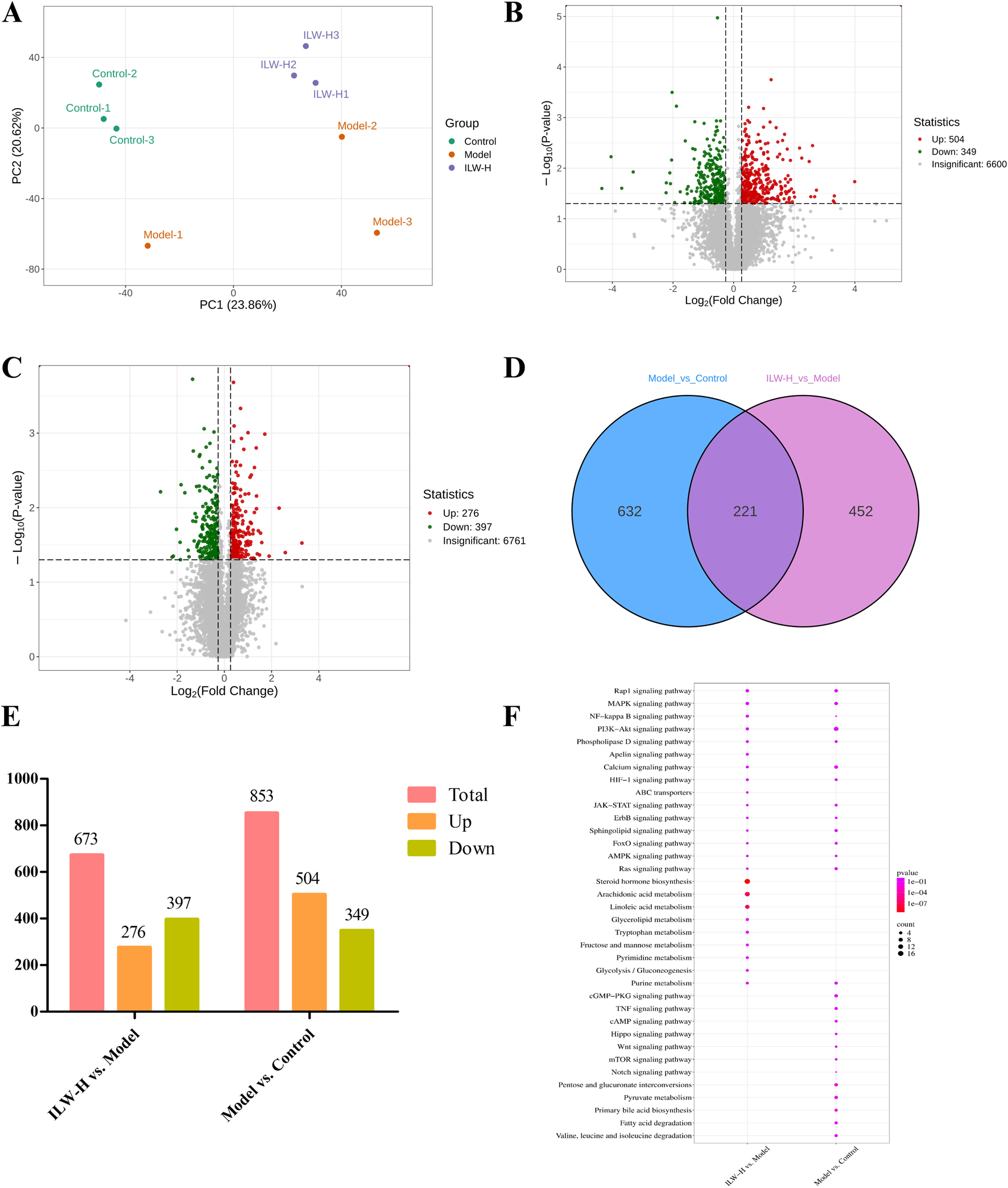 Panel A shows a PCA plot with group clusters: Control, Model, and ILW-H. Panel B and C display volcano plots differentiating upregulated (red) and downregulated (green) genes. Panel D contains a Venn diagram showing shared and distinct gene counts between comparisons. Panel E is a bar graph depicting total, up, and down changes in ILW-H vs. Model and Model vs. Control comparisons. Panel F is a dot plot illustrating enriched signaling pathways, color-coded by p-value and sized by count.