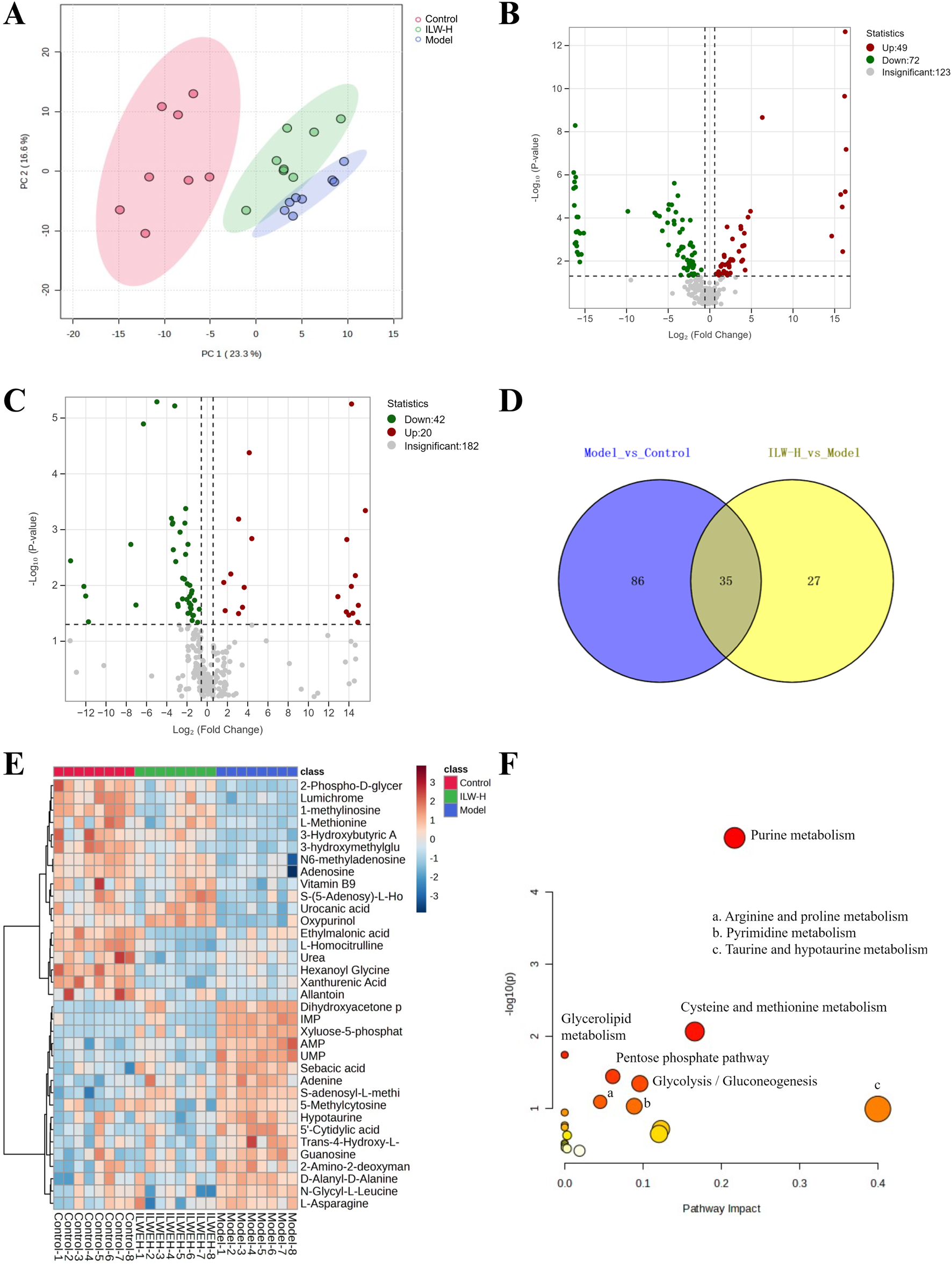 Panel A displays a PCA plot with three groups: Control, ILW-H, and Model, each in different colors. Panel B shows a volcano plot highlighting upregulated and downregulated data points. Panel C presents another volcano plot with significant and insignificant data points. Panel D contains a Venn diagram comparing two models with overlaps. Panel E features a heatmap of metabolite levels across different classes. Panel F contains a bubble plot illustrating pathway impact, identifying several metabolic pathways with variable bubble sizes indicating pathway significance.