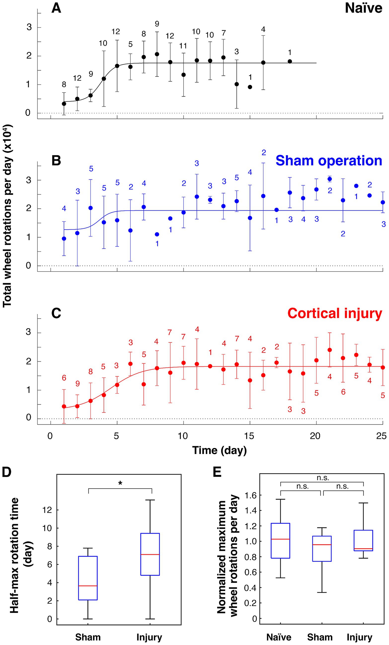 Charts A, B, and C show total wheel rotations per day over time for naive, sham operation, and cortical injury groups, respectively. Chart A rose steadily and reached its maximum in about a week. Chart B shows a quick recovery and Chart C shows a delayed recovery. Box plots D and E compare half-max rotation time and normalized maximum wheel rotations. Chart D indicates a significant difference between sham and injury groups, shown by an asterisk. Chart E shows no significant differences in normalized maximum rotations among naive, sham, and injury groups, indicated by