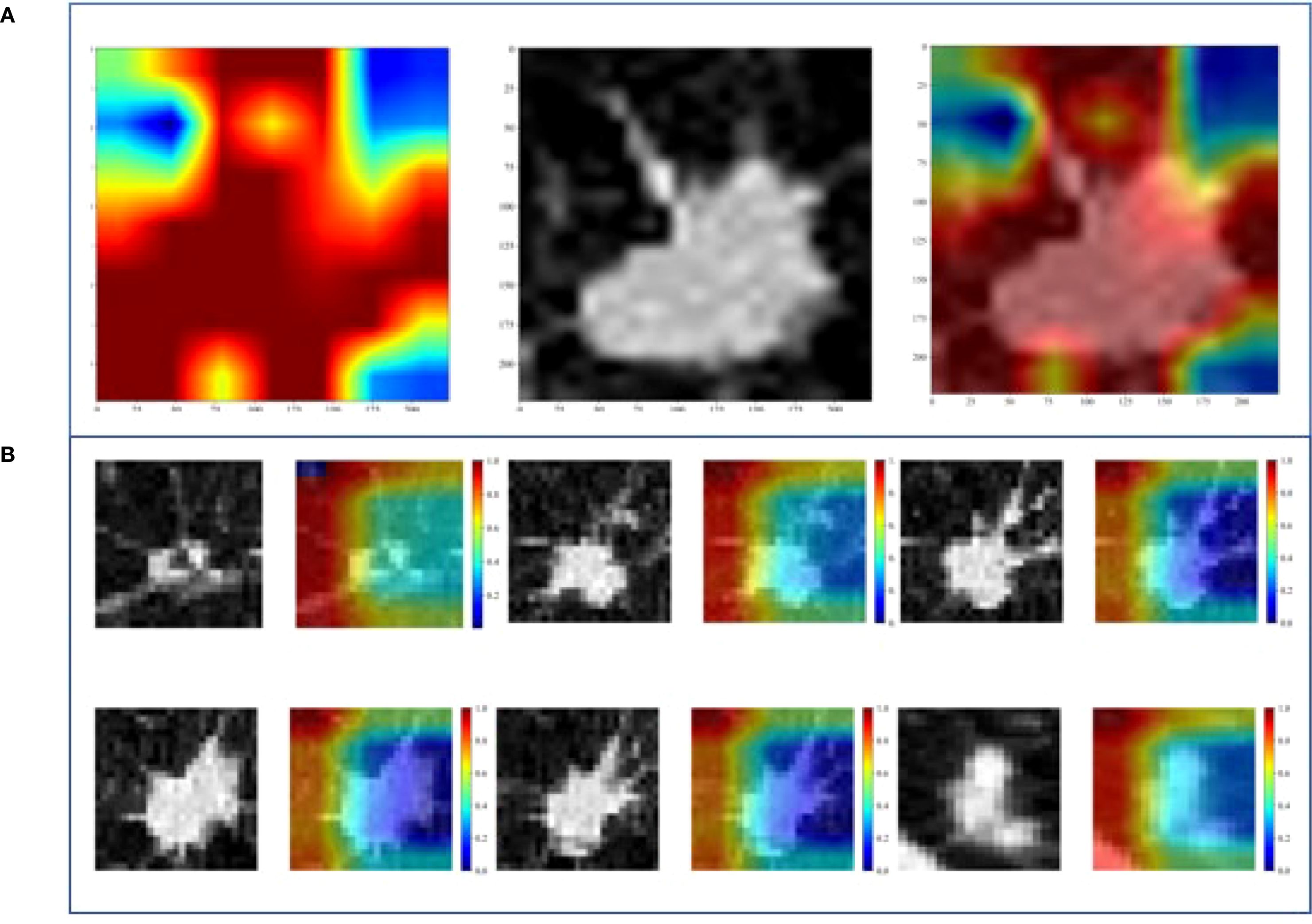 A collection of thermal images and grayscale scans depict varying heat distribution and structural details in an object. The top row shows three images: a color heat map, a grayscale image, and a combined version. The bottom section features two rows, each with six smaller images alternating between grayscale scans and colored heat maps with corresponding color bars indicating intensity levels.