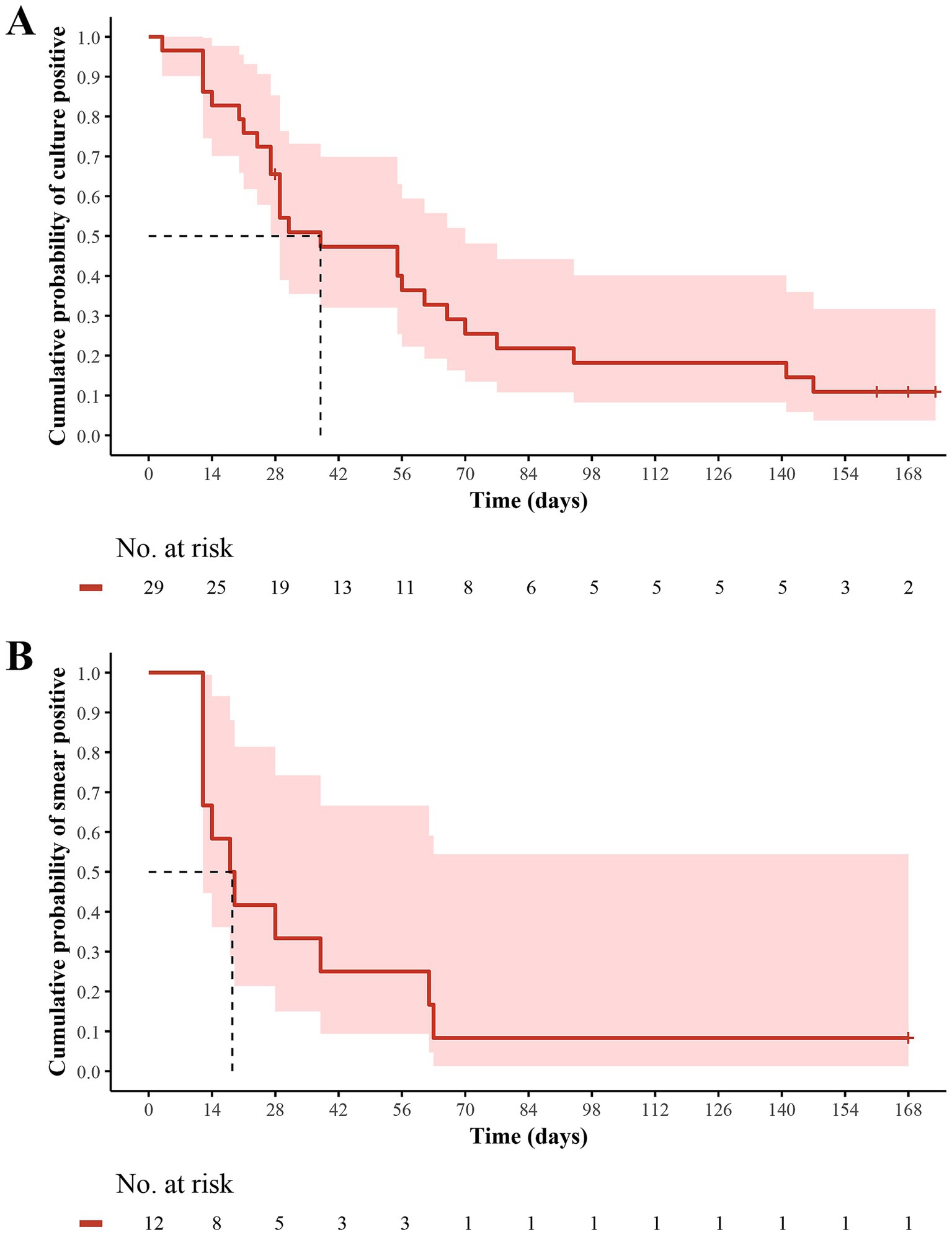 Kaplan-Meier survival curves depict cumulative probability over 168 days with a red line and shaded area showing confidence intervals. Plot A shows culture-positive probability, while Plot B shows smear-positive probability. Sample sizes at risk decrease over time, indicated below each plot.