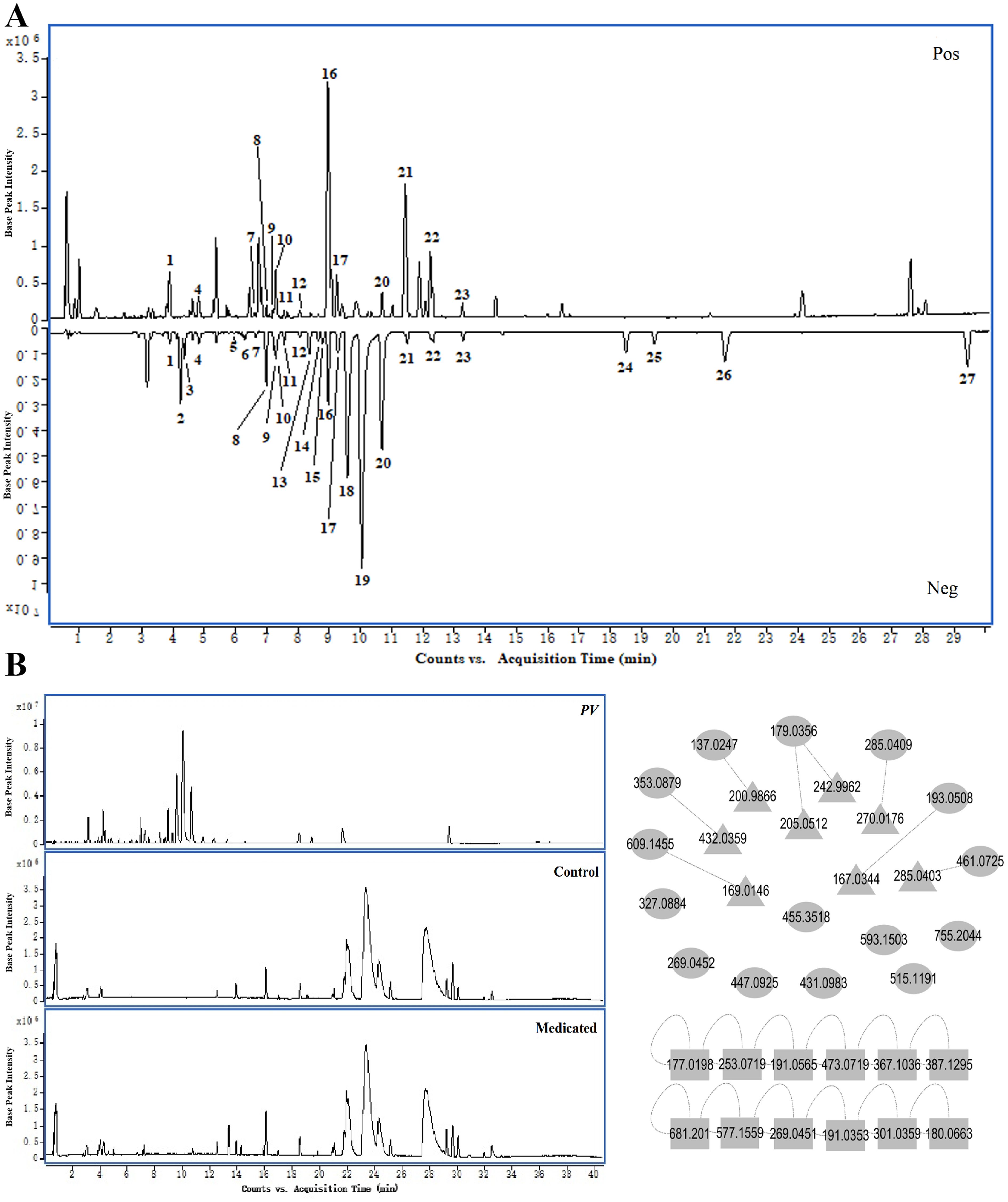 Two graphs labeled A and B depict analytical data. Graph A shows positive and negative peaks labeled with numbers along a timeline from 0 to 29 minutes. Graph B includes three line graphs labeled PV, Control, and Medicated, illustrating counts over time from 0 to 40 minutes, with a molecular network diagram featuring numeric labels and connecting arcs on the right side.