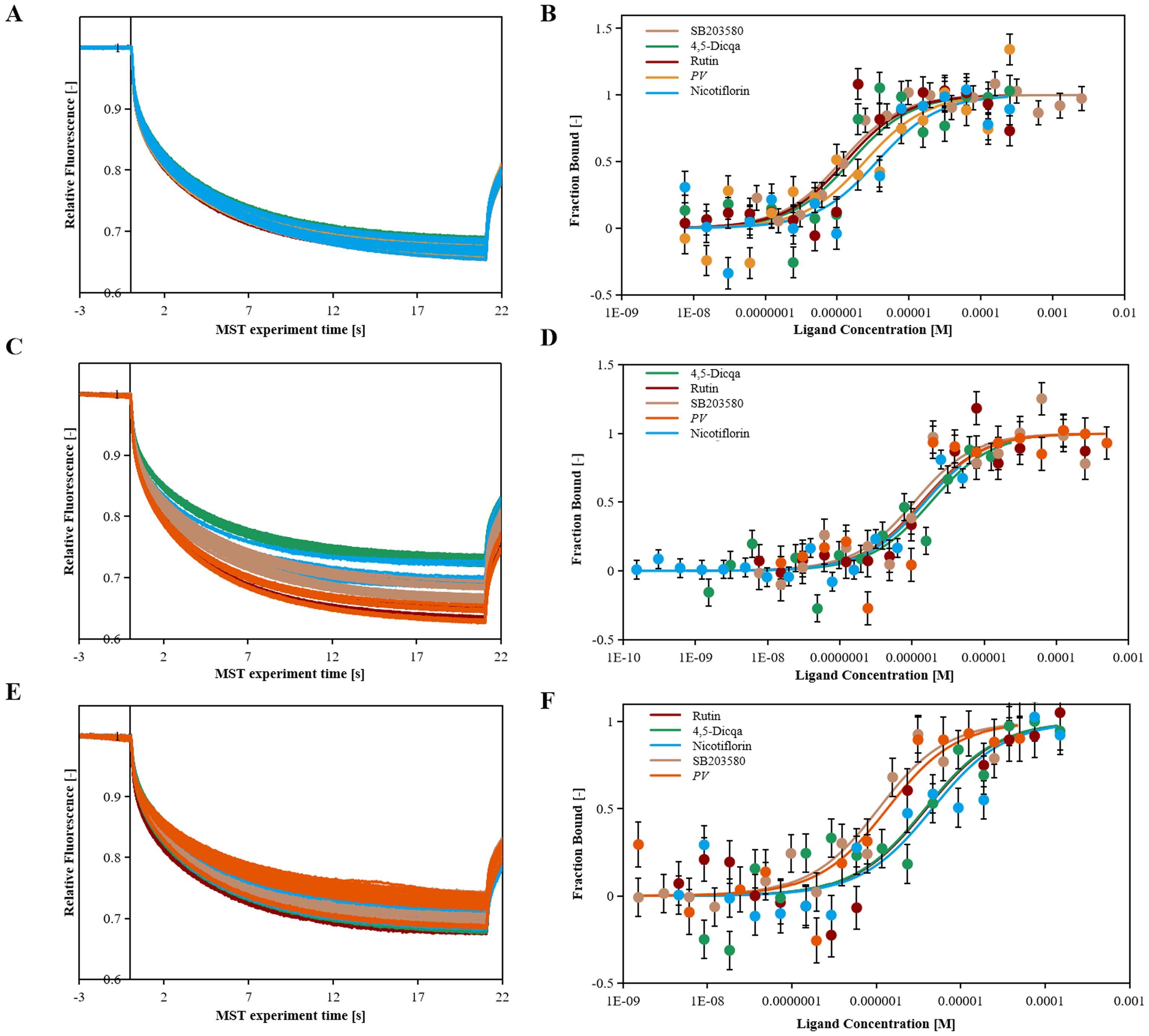 Six-panel figure showing MicroScale Thermophoresis (MST) and binding curves. Panels A, C, and E depict relative fluorescence over time with various ligands. Panels B, D, and F illustrate corresponding binding curves showing fraction bound against ligand concentration. Different ligands are color-coded: SB203580, 4,5-Dica, Rutin, PY, and Nicotiflorin. Error bars indicate variability.
